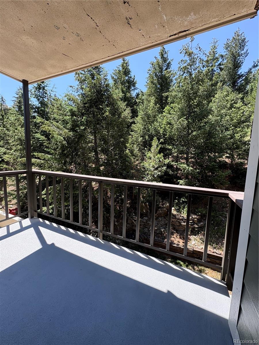 MLS Image #7 for 31270  john wallace road,evergreen, Colorado