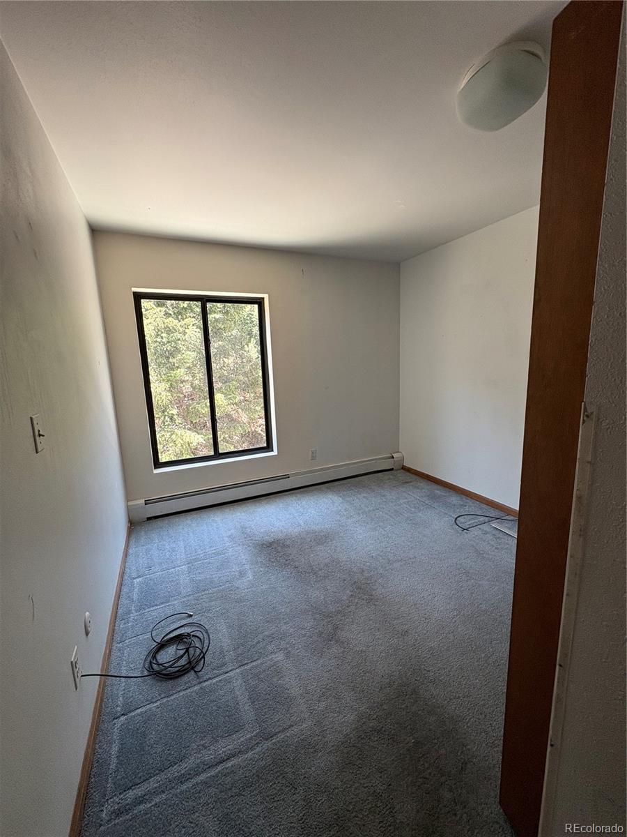 MLS Image #8 for 31270  john wallace road,evergreen, Colorado