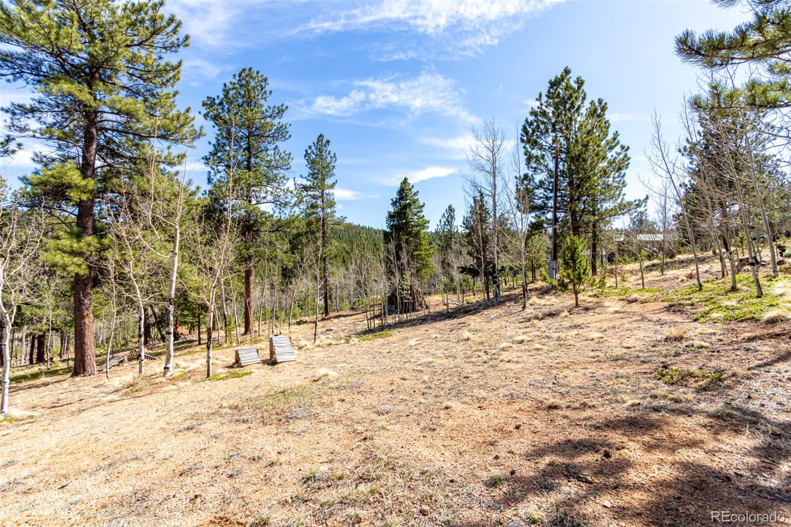 MLS Image #49 for 116  schooley road,bailey, Colorado