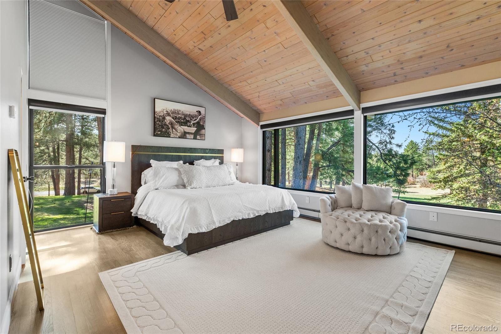MLS Image #16 for 347 s white tail drive,franktown, Colorado