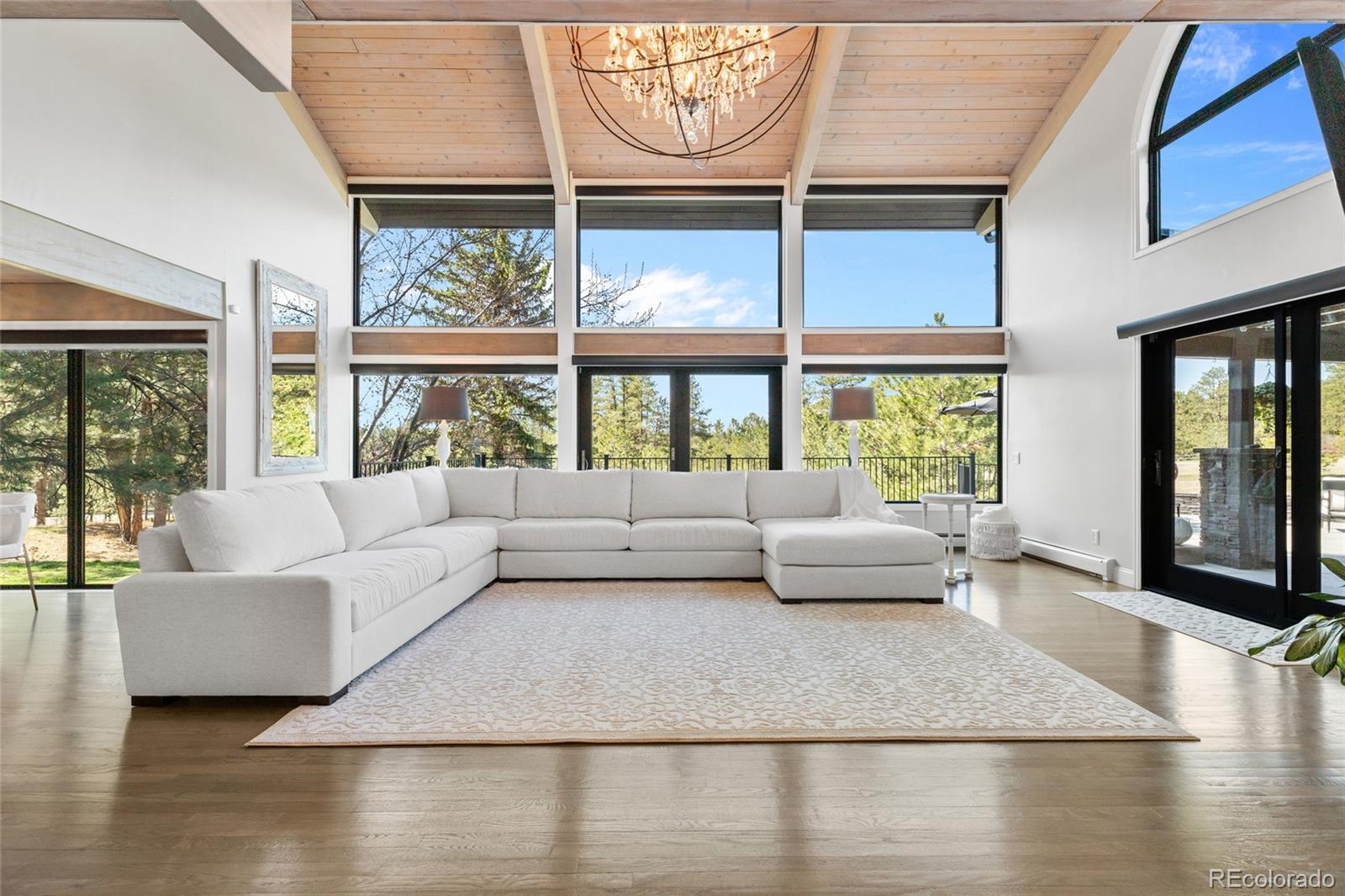 MLS Image #6 for 347 s white tail drive,franktown, Colorado