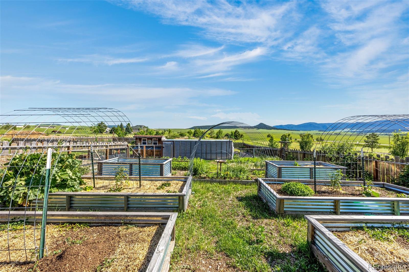 MLS Image #34 for 11784  spruce mountain road,larkspur, Colorado