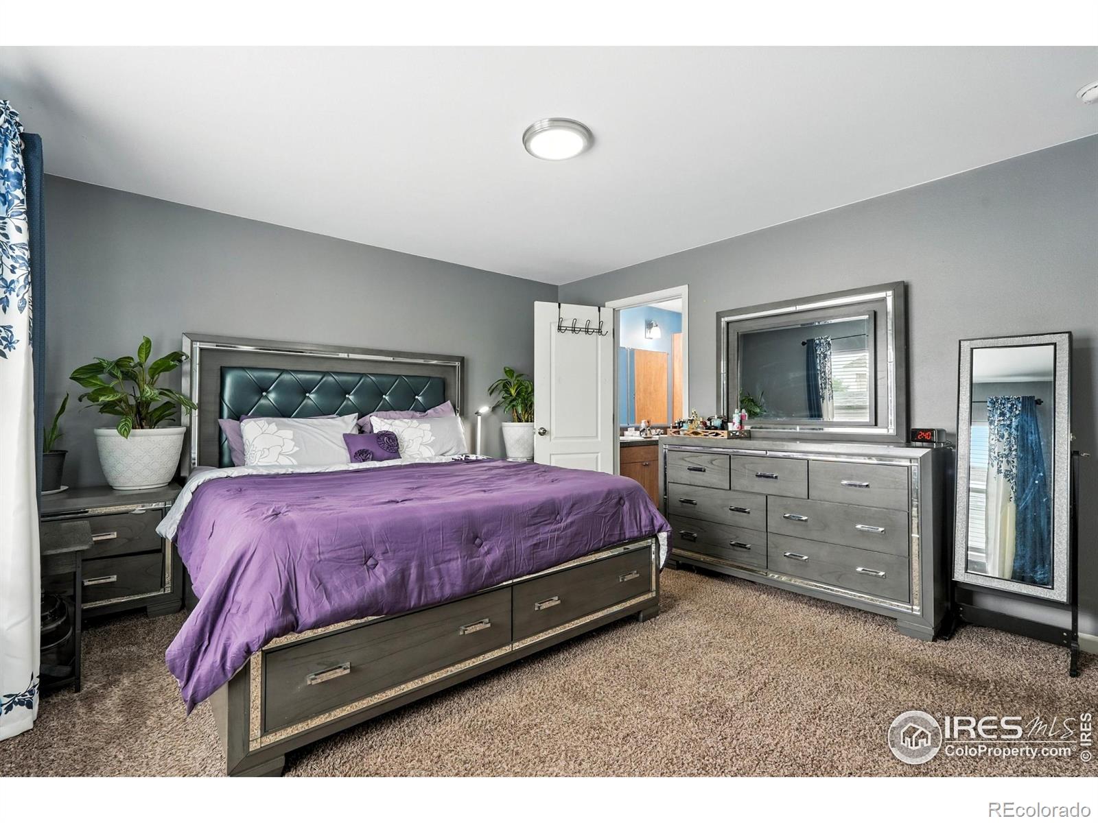 MLS Image #11 for 10573  ashwood street,firestone, Colorado