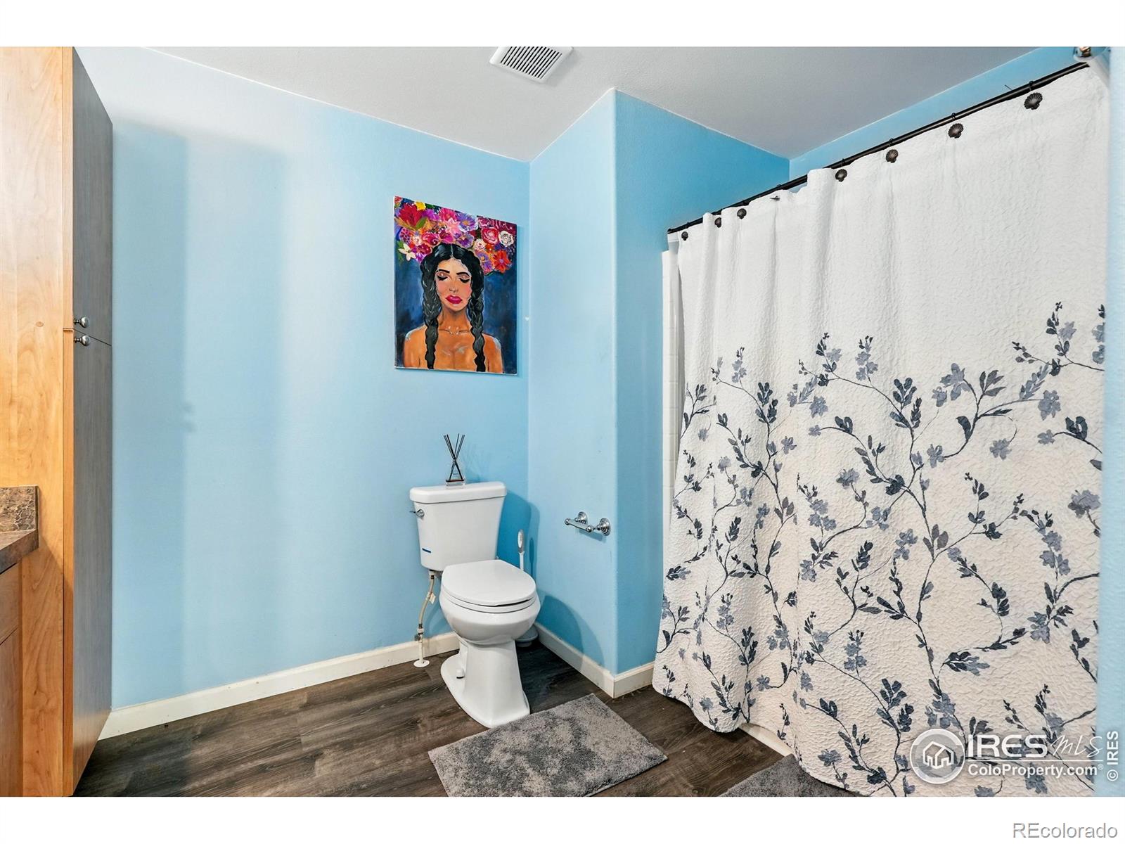 MLS Image #13 for 10573  ashwood street,firestone, Colorado