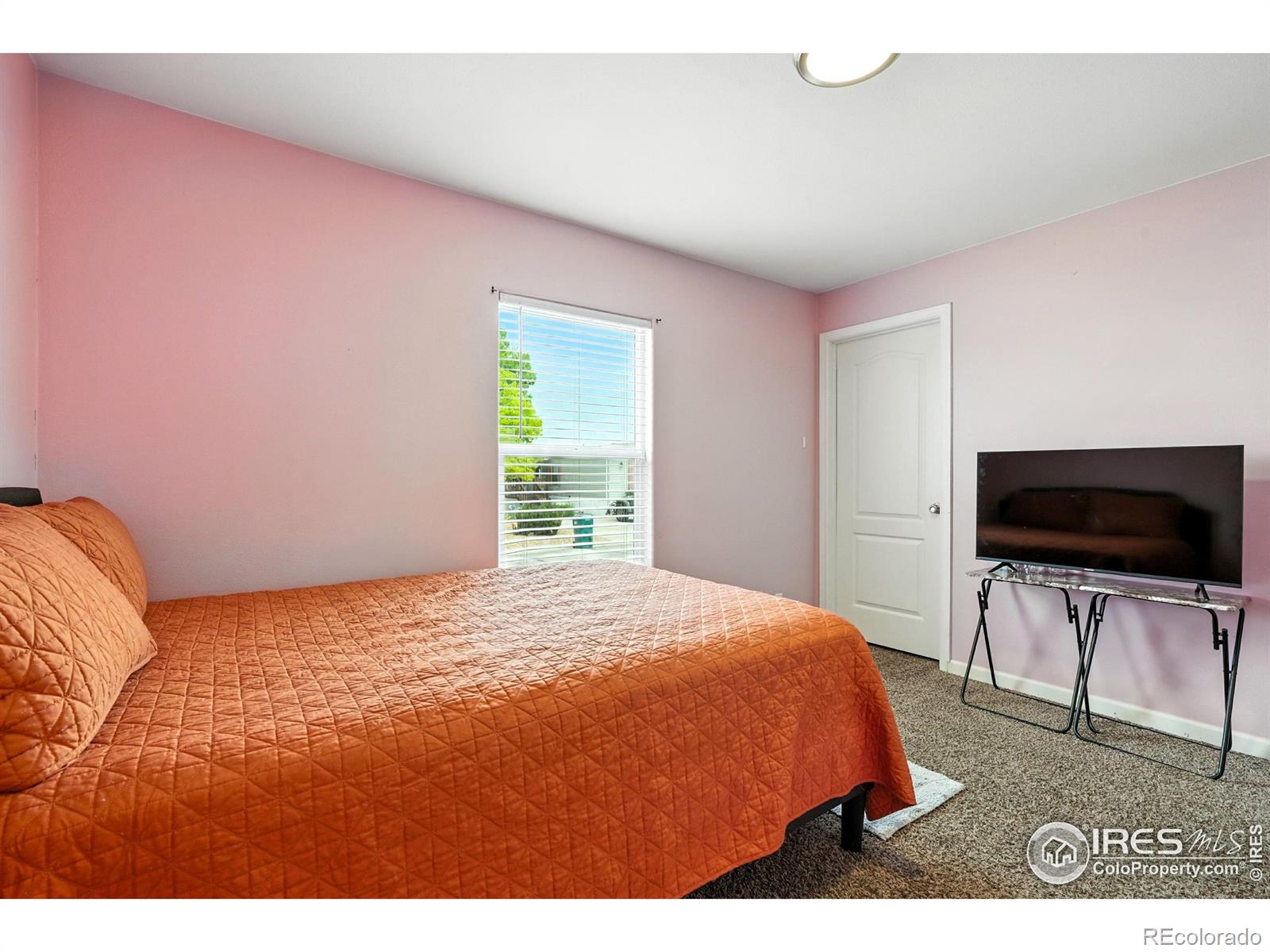 MLS Image #16 for 10573  ashwood street,firestone, Colorado