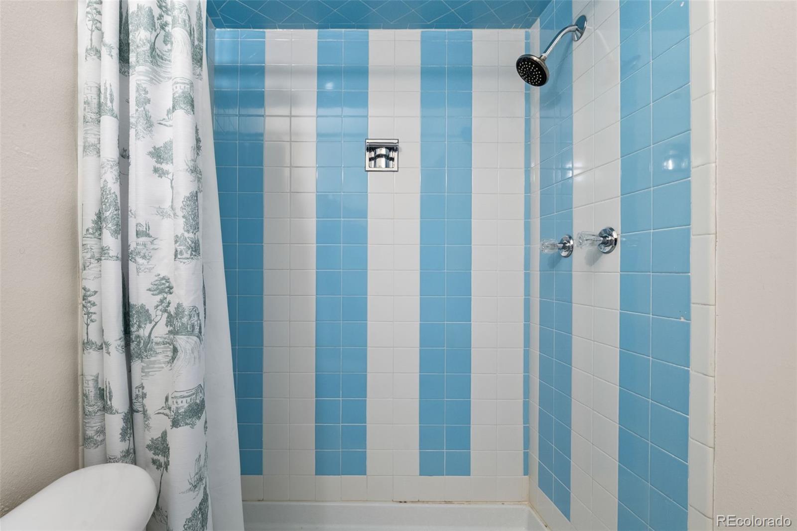 MLS Image #22 for 441 s monaco parkway,denver, Colorado