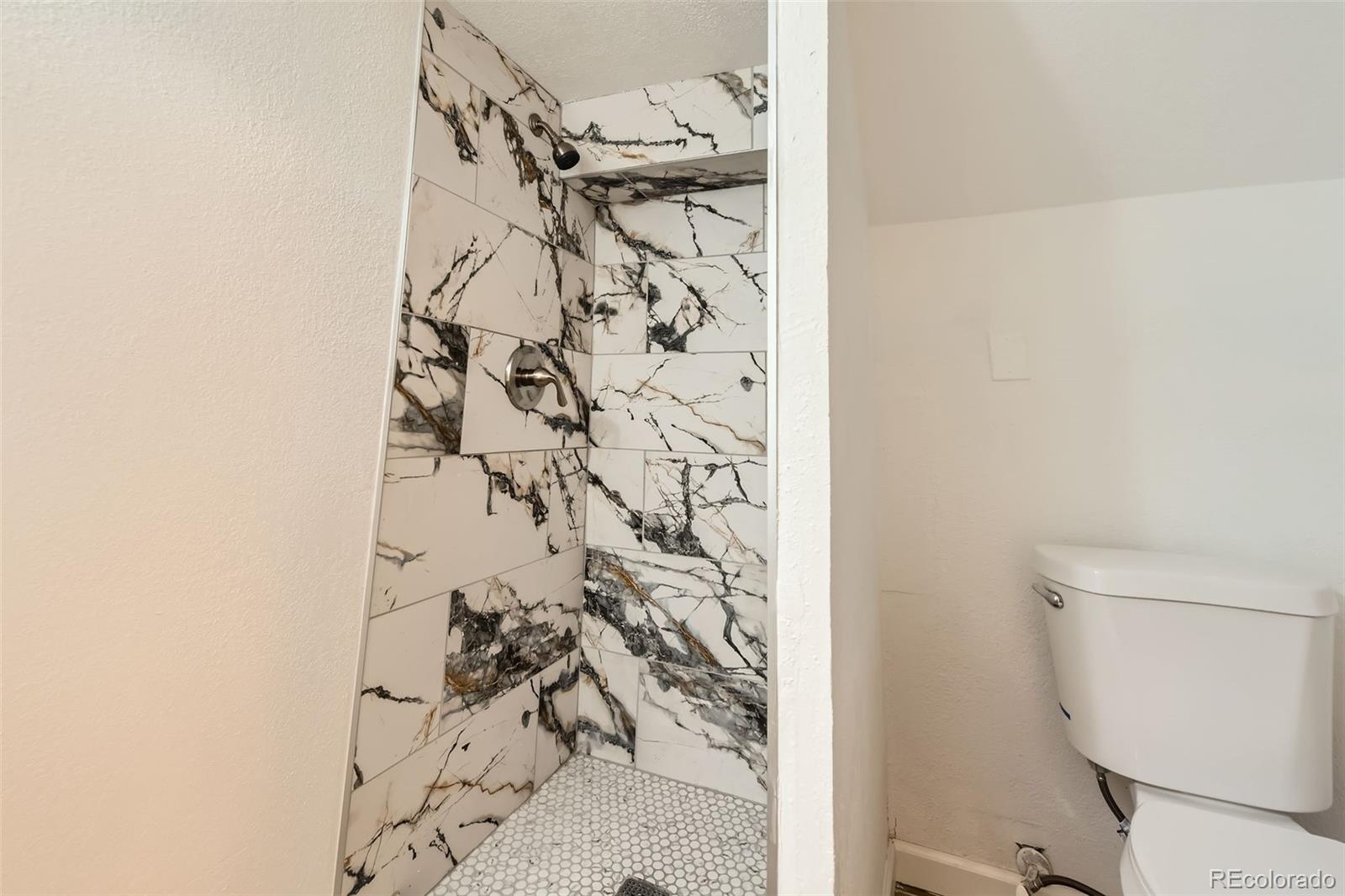 MLS Image #20 for 695 s quitman street,denver, Colorado