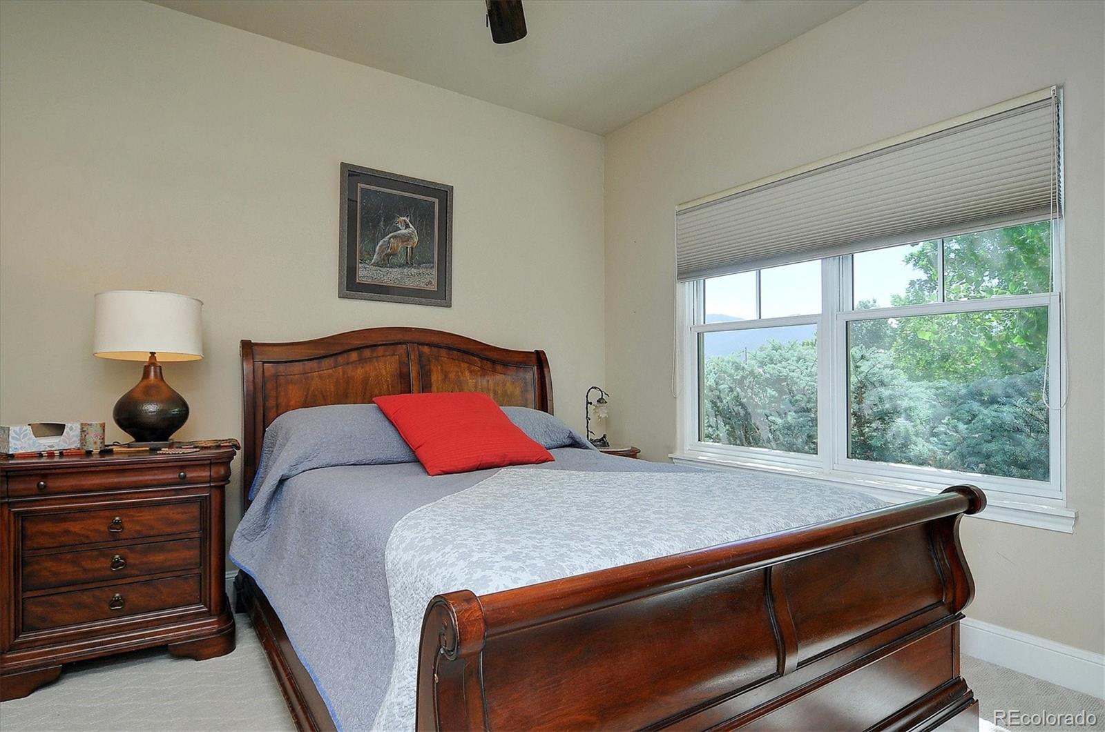 MLS Image #19 for 106  cottonwood circle,salida, Colorado