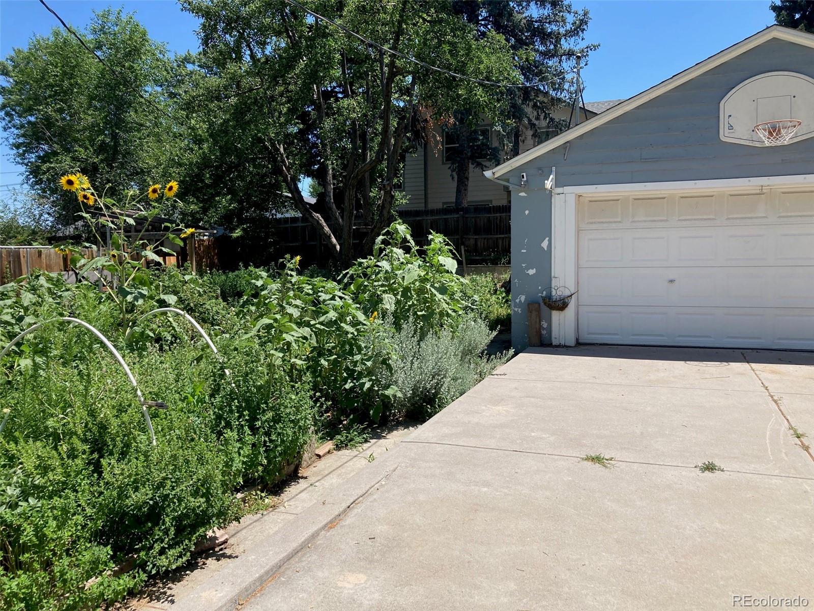 MLS Image #14 for 5350  primrose lane,denver, Colorado