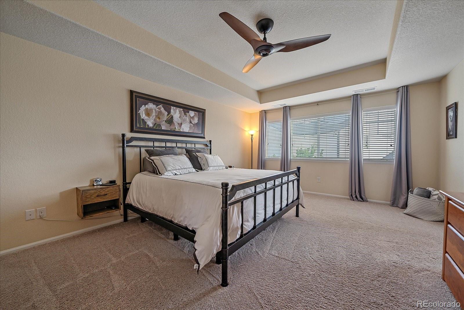 MLS Image #21 for 15201  yellowthroat street,parker, Colorado