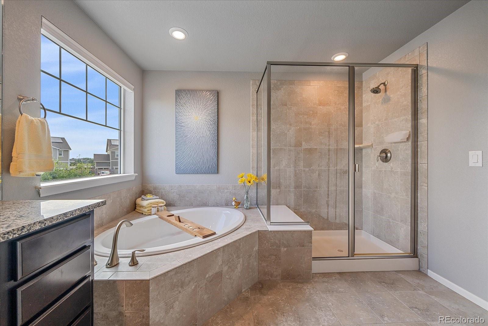 MLS Image #24 for 15201  yellowthroat street,parker, Colorado