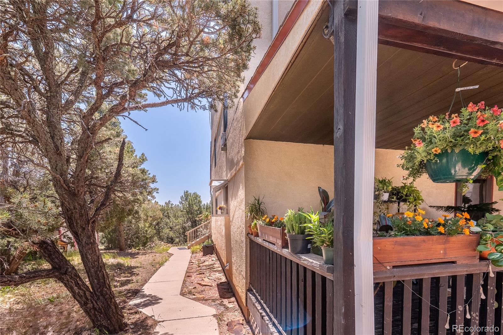 MLS Image #33 for 34902  county rd 20.2 ,trinidad, Colorado