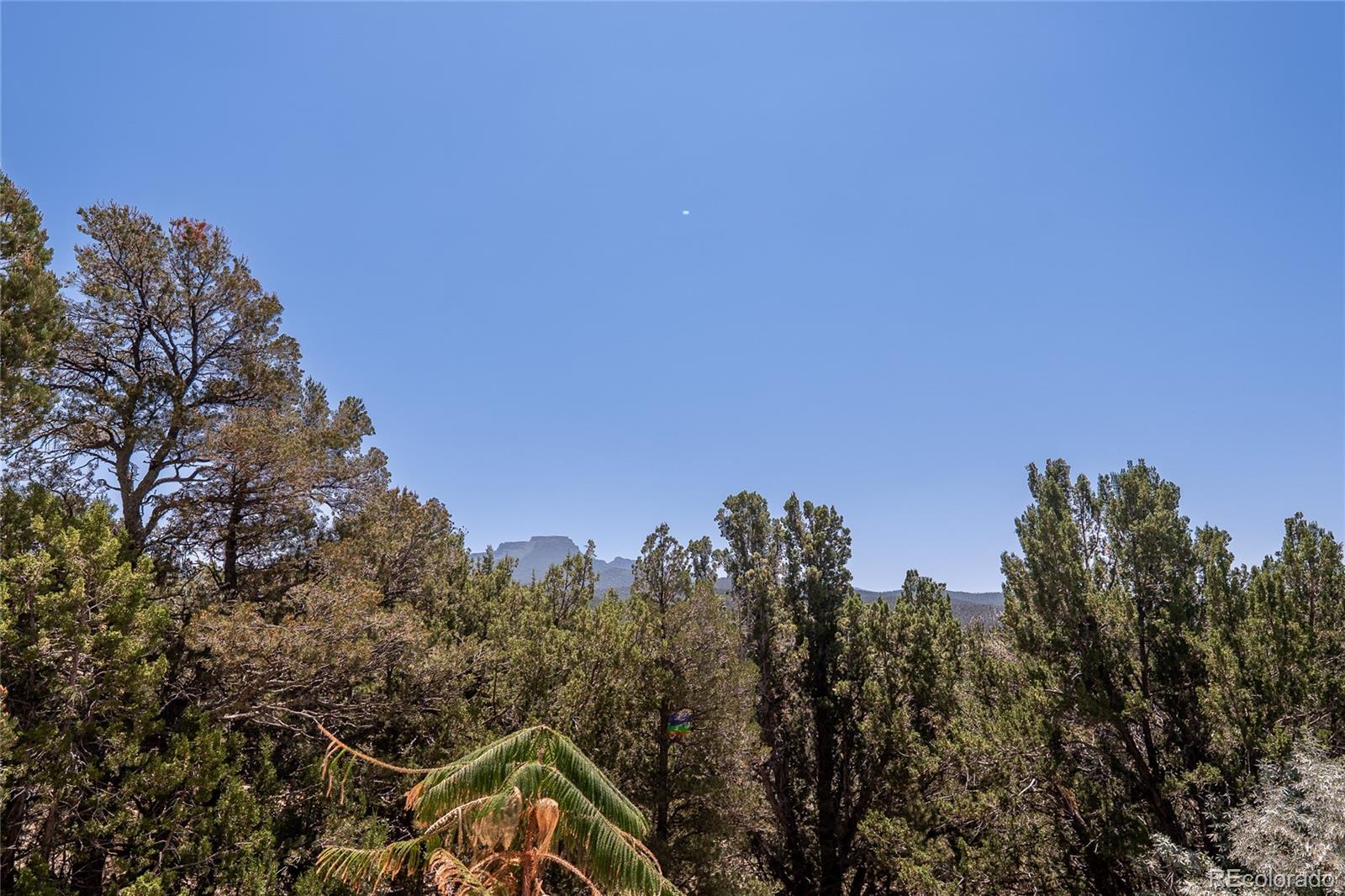 MLS Image #38 for 34902  county rd 20.2 ,trinidad, Colorado