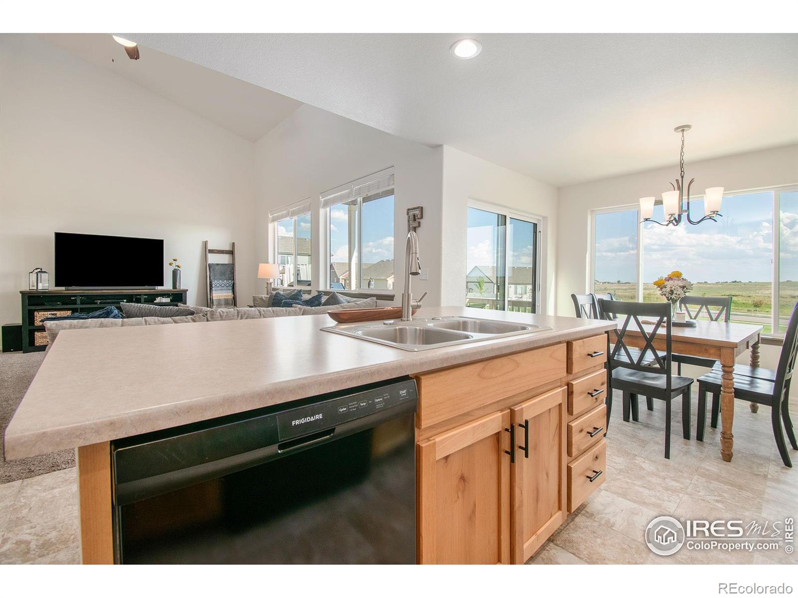 MLS Image #11 for 1103  ibex drive,severance, Colorado