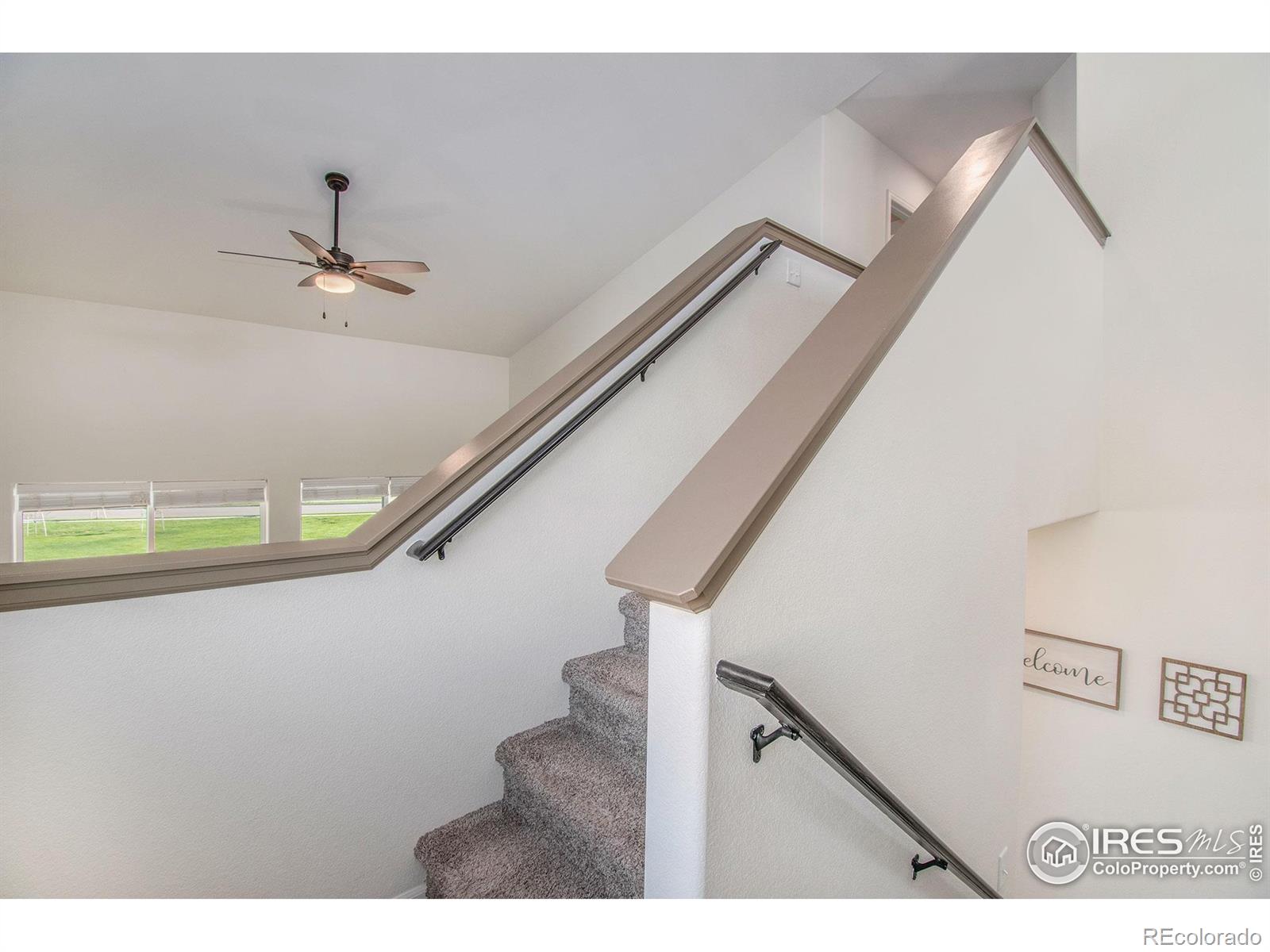 MLS Image #13 for 1103  ibex drive,severance, Colorado