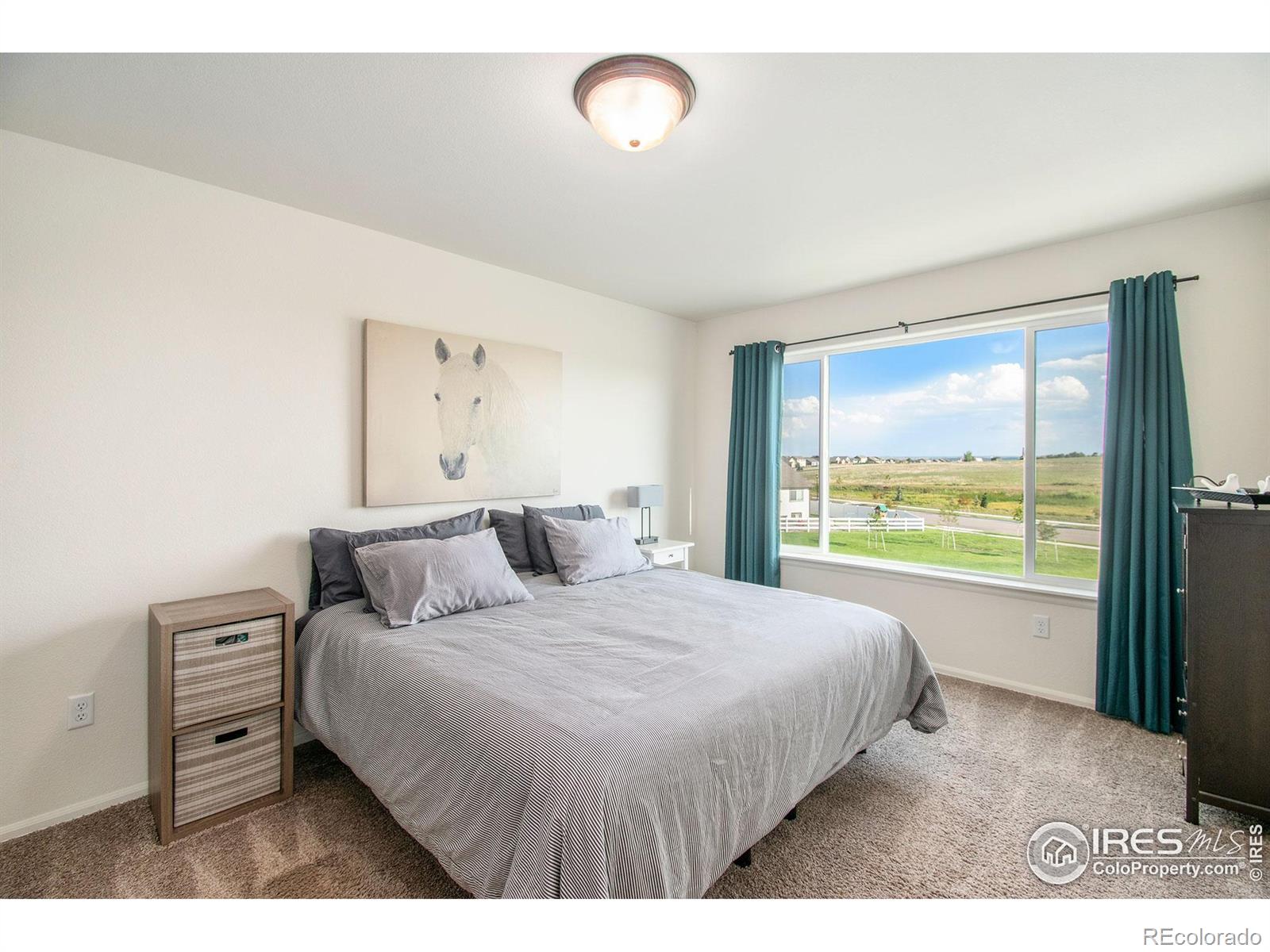 MLS Image #14 for 1103  ibex drive,severance, Colorado