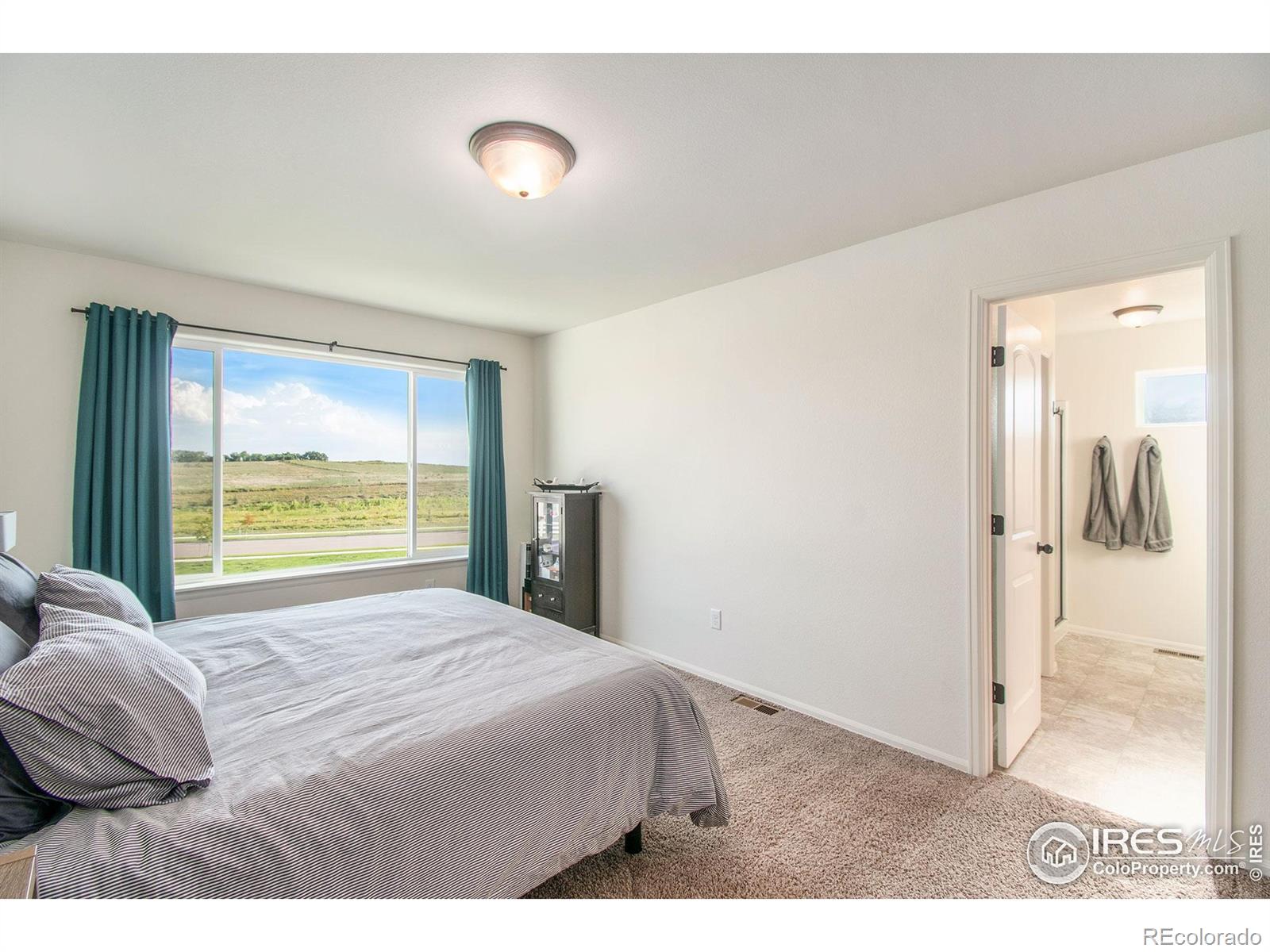 MLS Image #15 for 1103  ibex drive,severance, Colorado