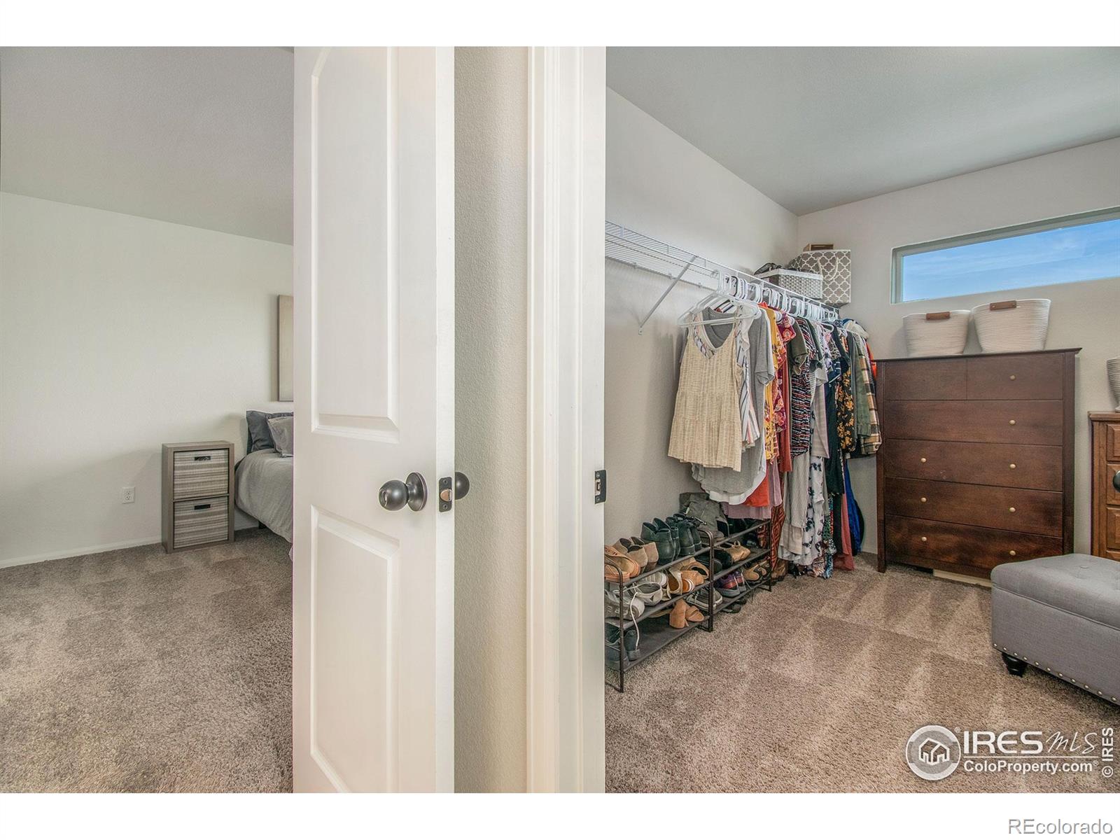 MLS Image #19 for 1103  ibex drive,severance, Colorado