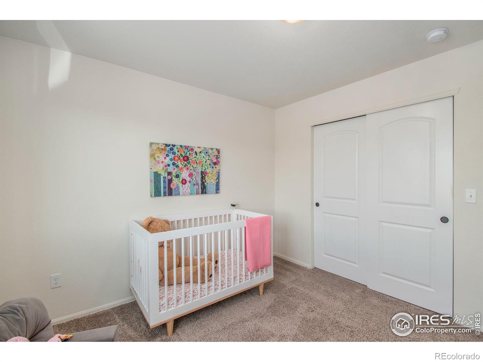 MLS Image #21 for 1103  ibex drive,severance, Colorado