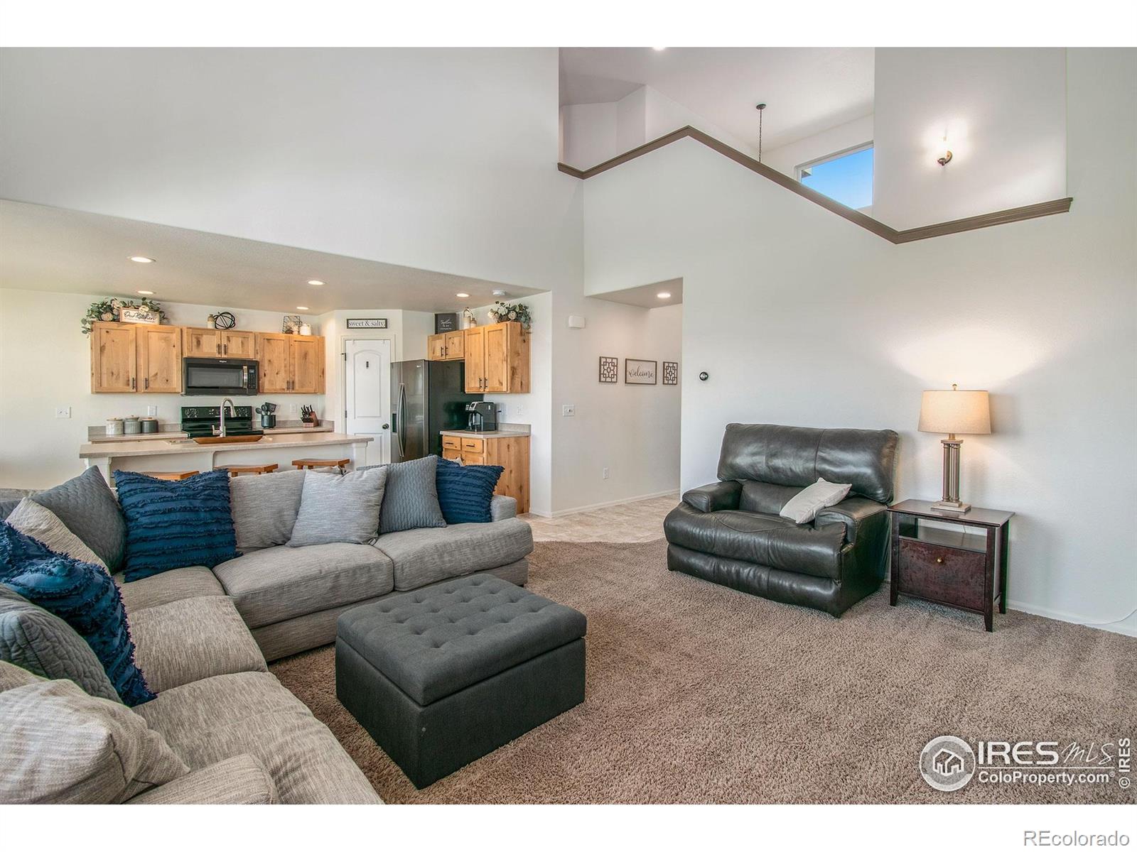 MLS Image #3 for 1103  ibex drive,severance, Colorado