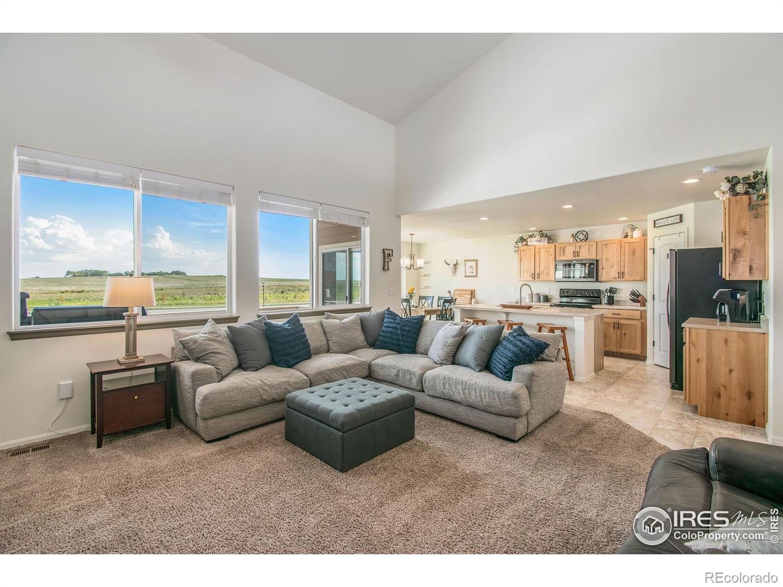 MLS Image #4 for 1103  ibex drive,severance, Colorado