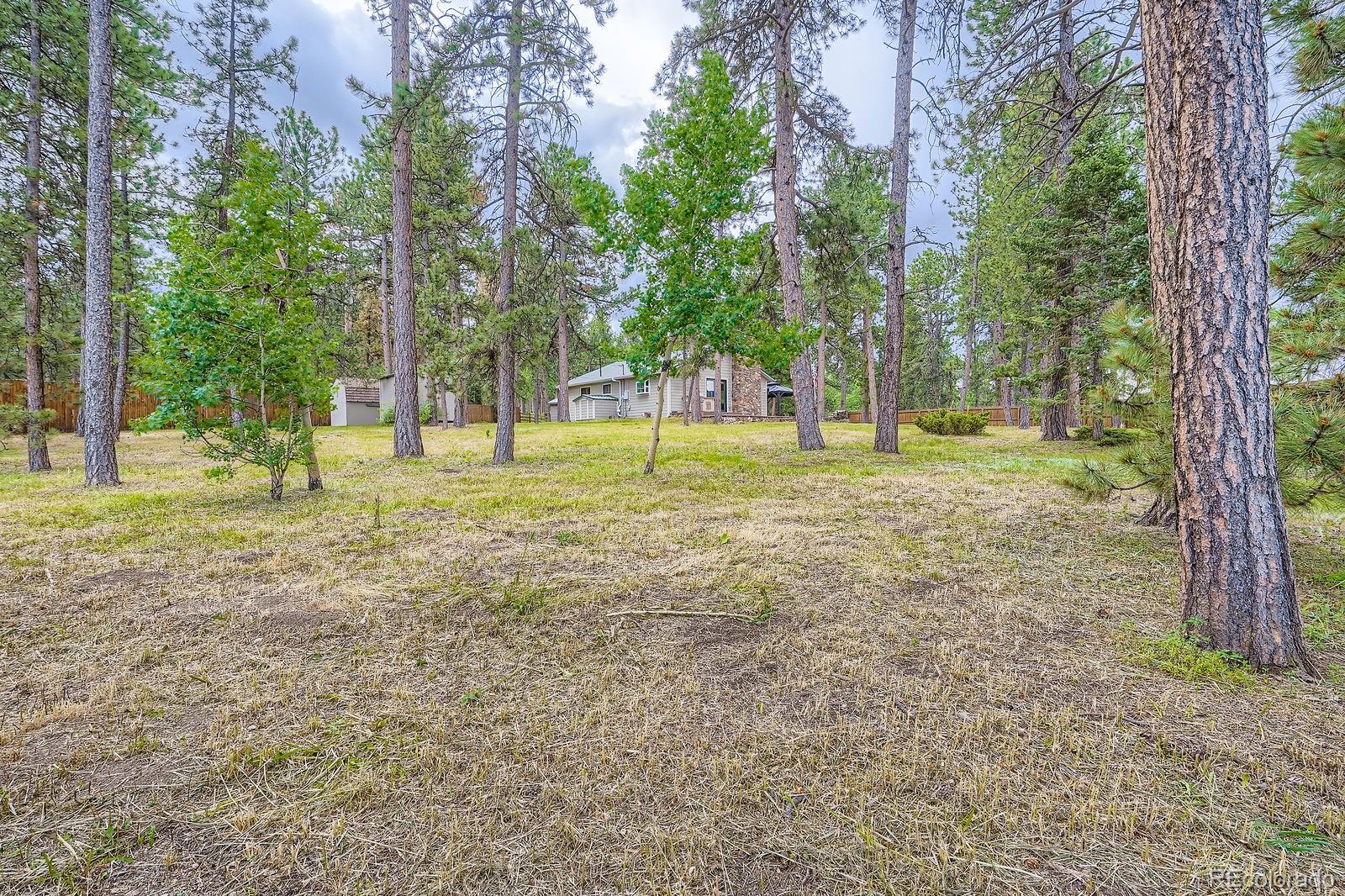 MLS Image #22 for 26732  main street,conifer, Colorado