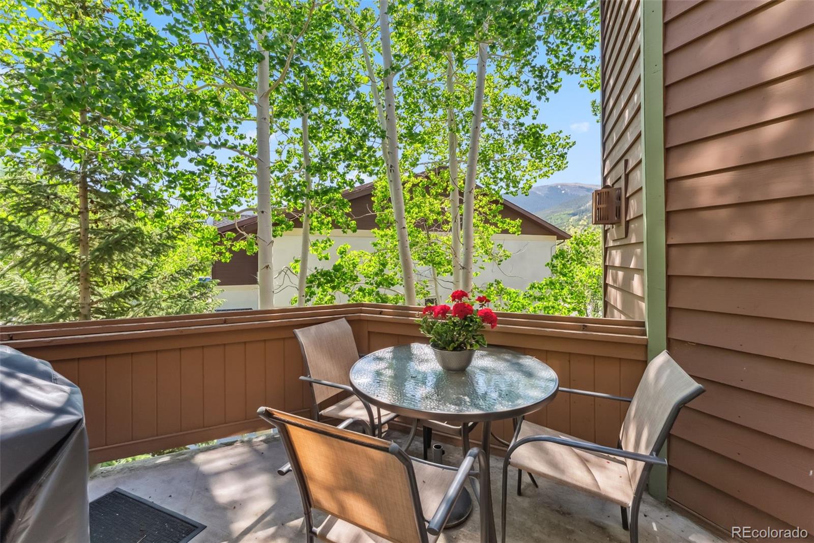 MLS Image #10 for 24  rasor drive,dillon, Colorado