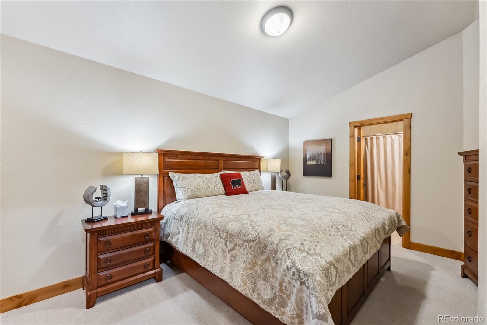 MLS Image #23 for 24  rasor drive,dillon, Colorado
