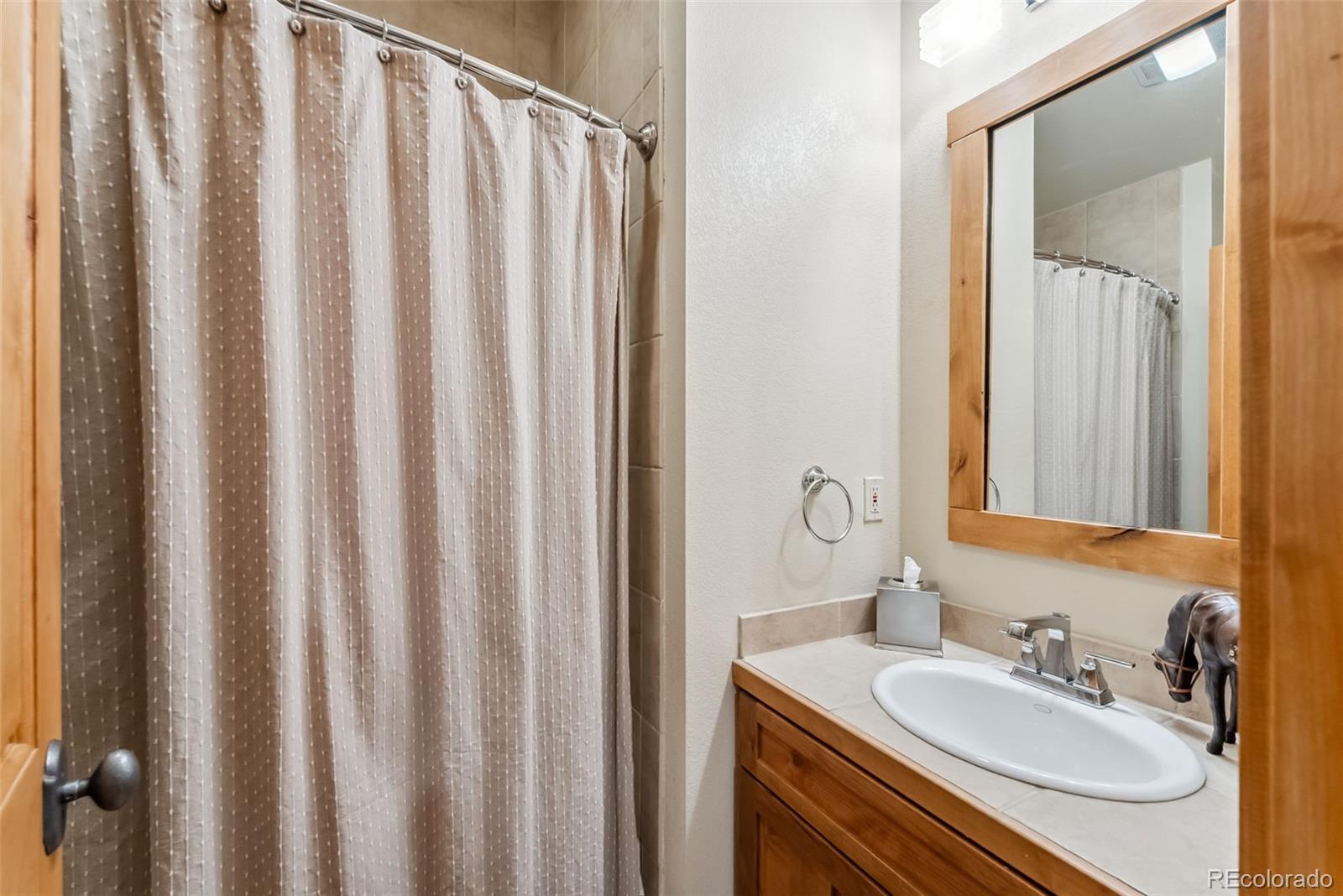 MLS Image #26 for 24  rasor drive,dillon, Colorado