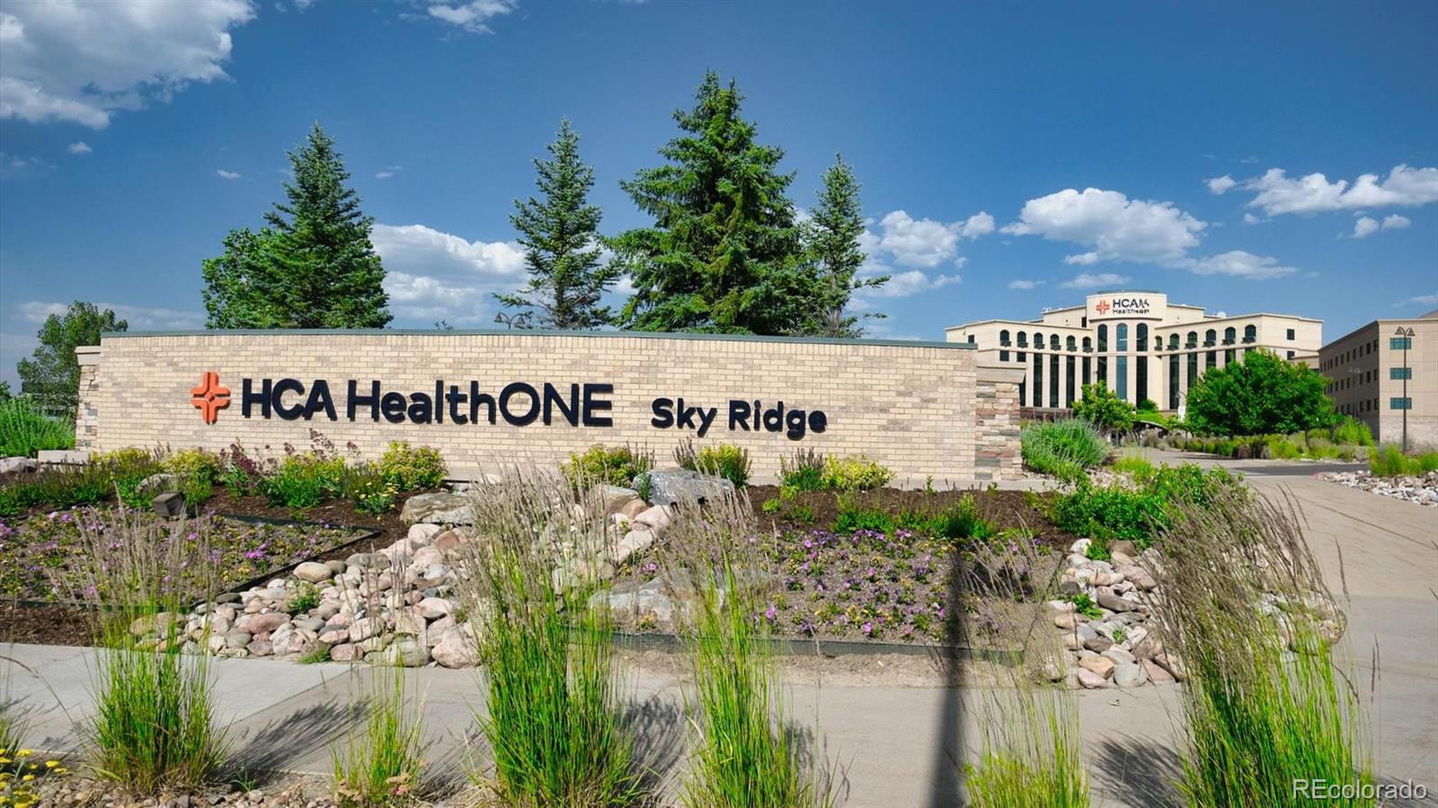 MLS Image #42 for 10328  bluffmont drive,lone tree, Colorado