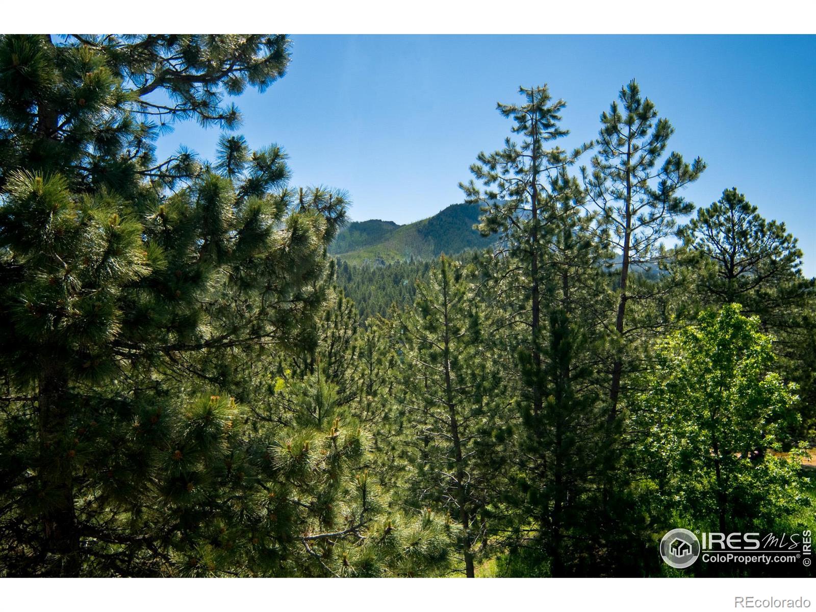 MLS Image #39 for 237  puma drive,boulder, Colorado