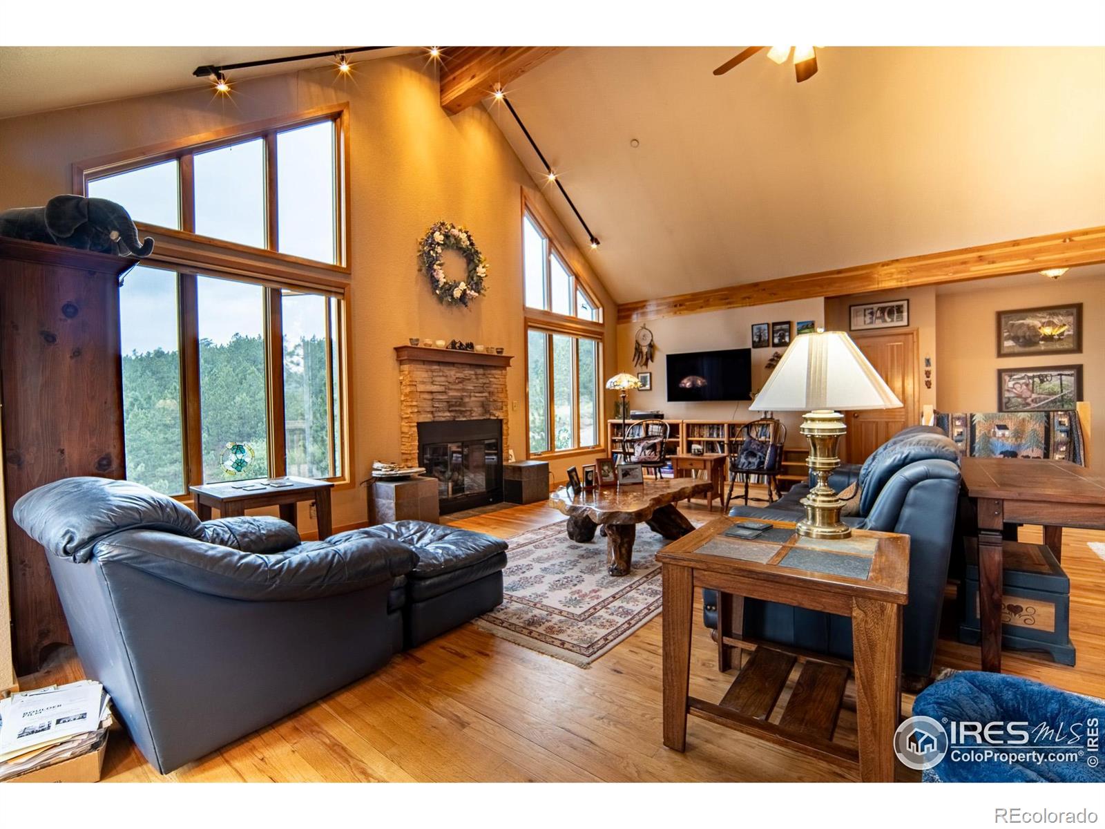 MLS Image #7 for 237  puma drive,boulder, Colorado