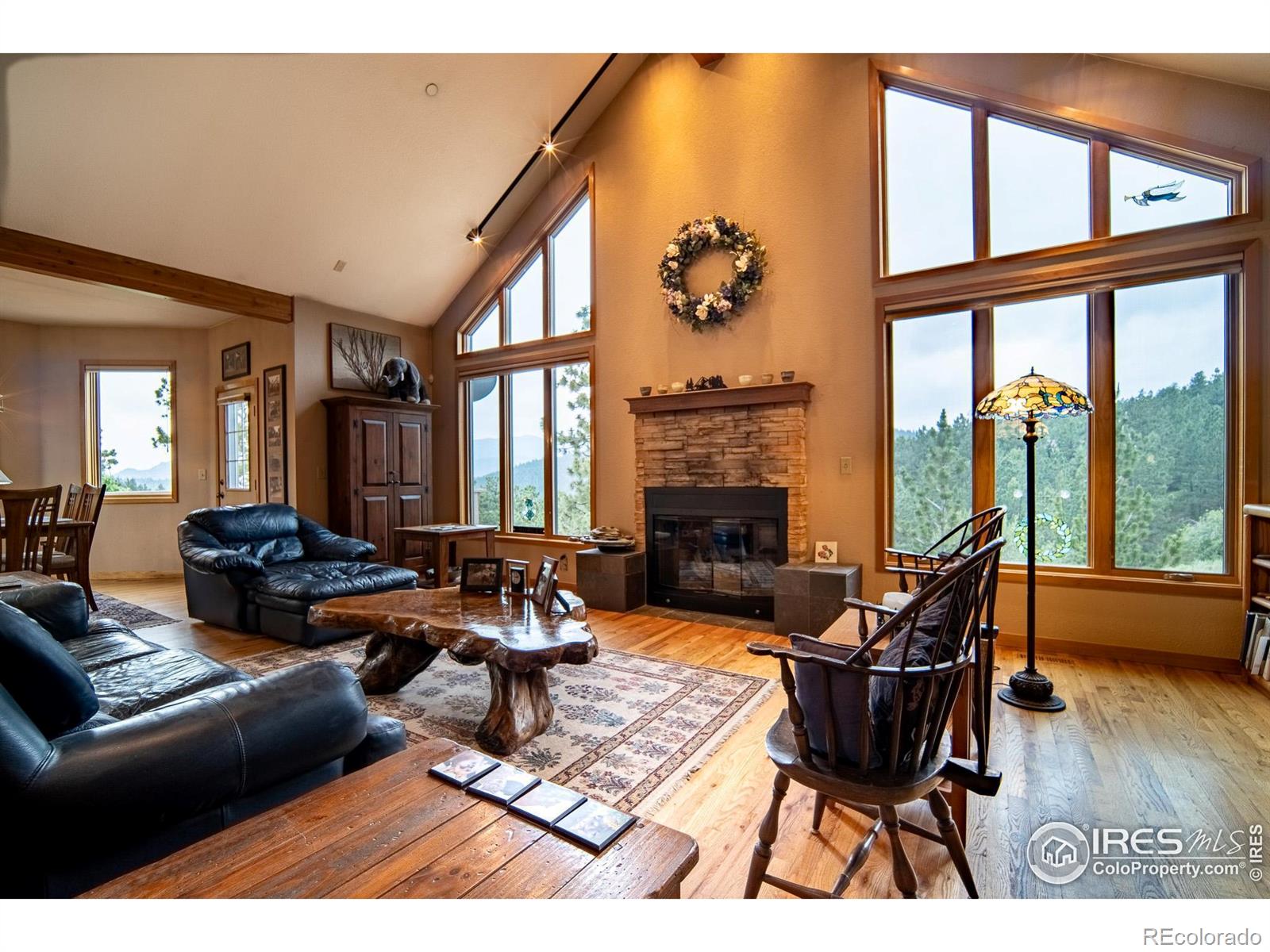 MLS Image #9 for 237  puma drive,boulder, Colorado