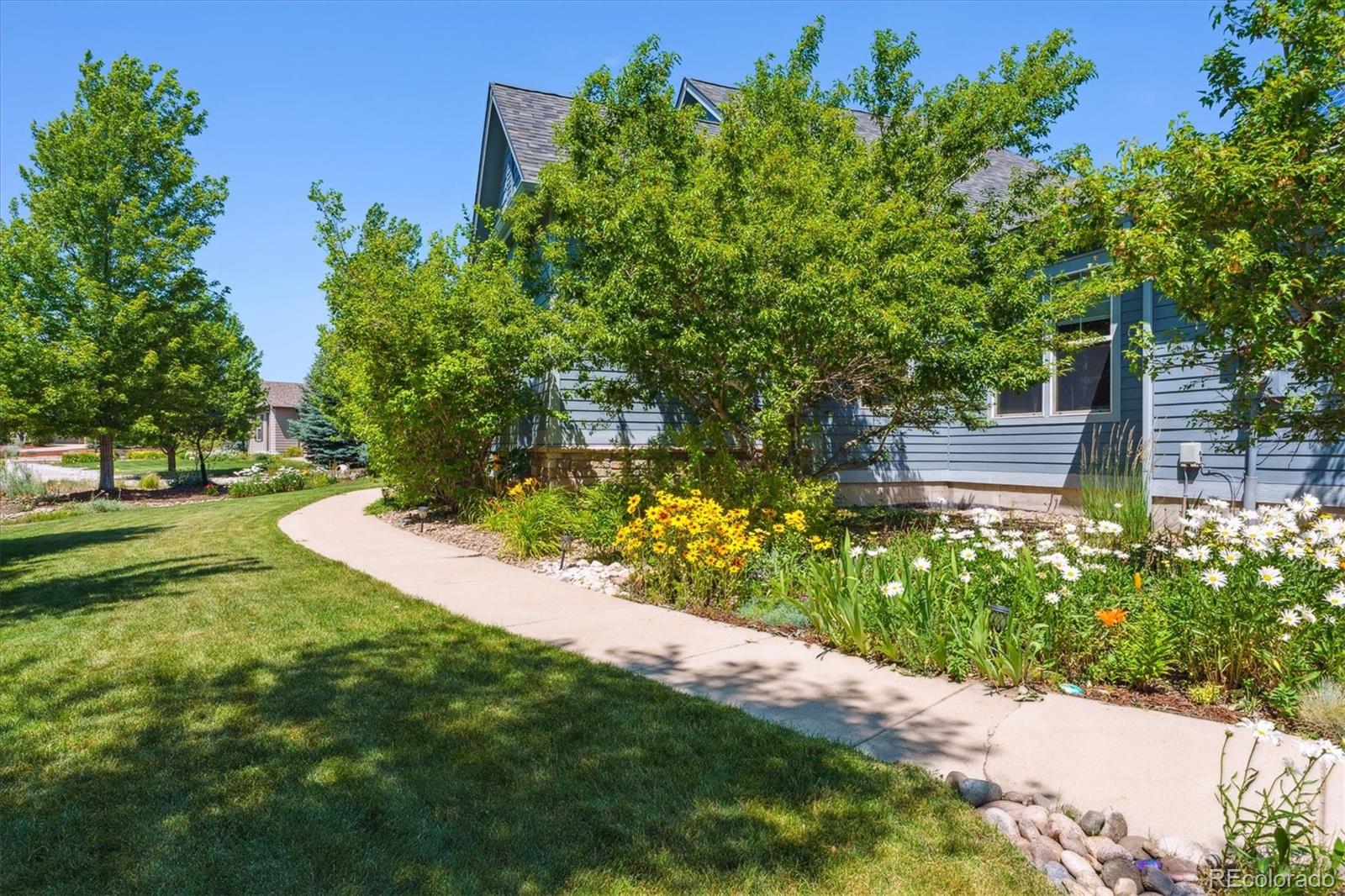 MLS Image #3 for 5463  killen avenue,castle rock, Colorado