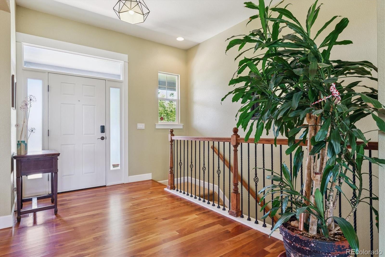MLS Image #8 for 5463  killen avenue,castle rock, Colorado