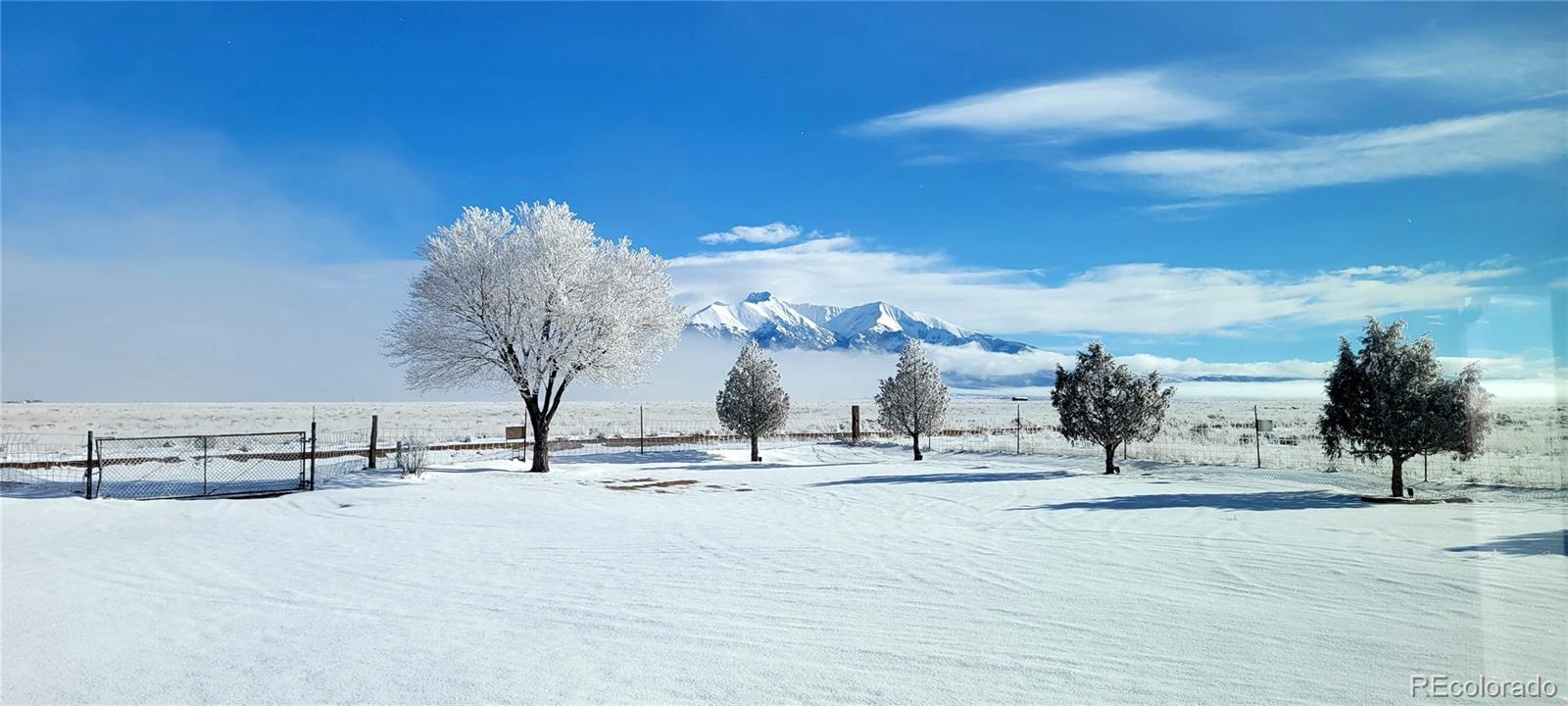 MLS Image #2 for 8246  manitou springs road,blanca, Colorado
