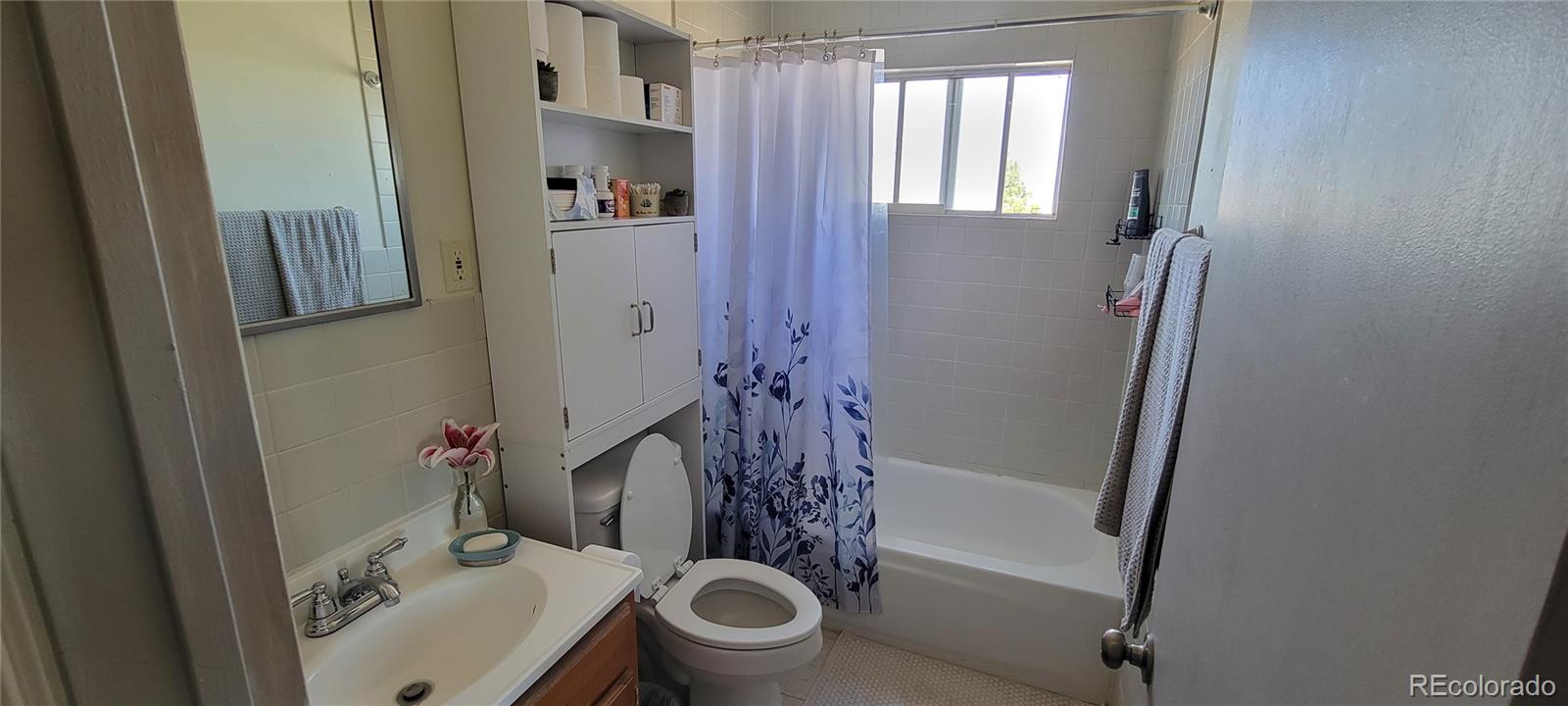 MLS Image #26 for 8246  manitou springs road,blanca, Colorado