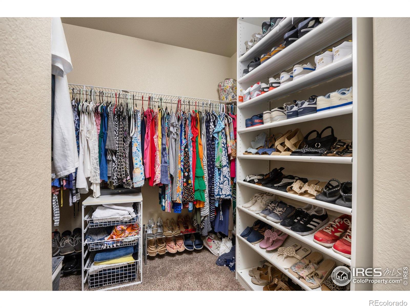MLS Image #22 for 2932  pictor street,loveland, Colorado