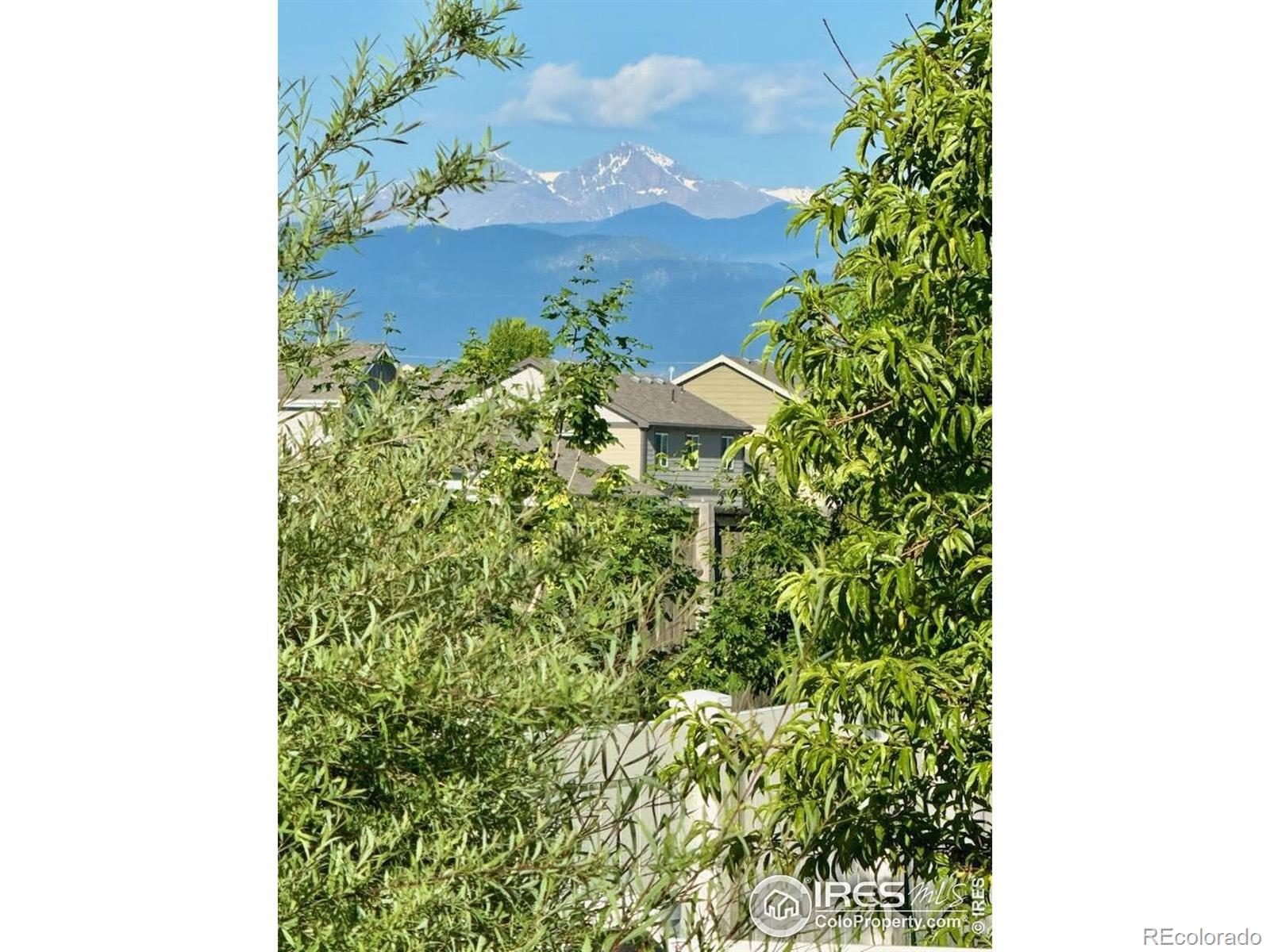 MLS Image #37 for 2932  pictor street,loveland, Colorado