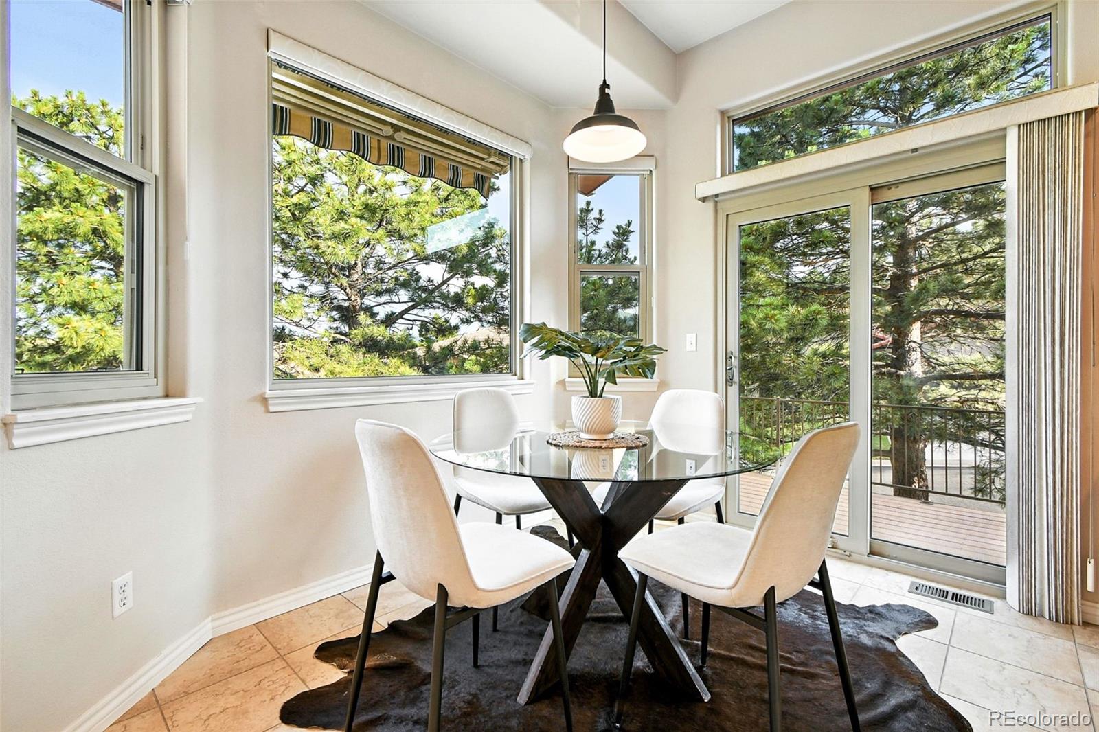 MLS Image #18 for 10751  fairway vistas court,littleton, Colorado