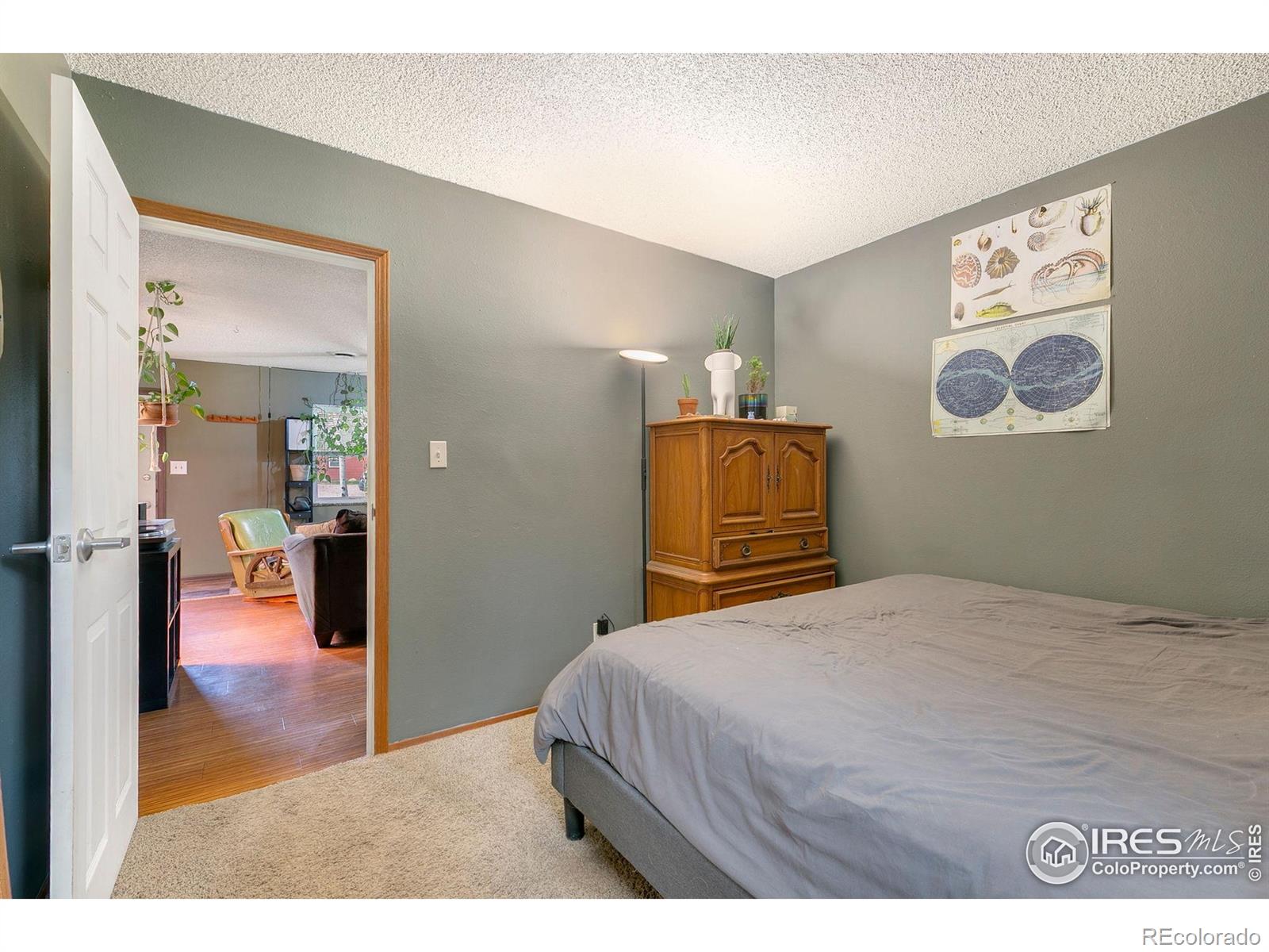 MLS Image #11 for 2909 w olive street,fort collins, Colorado