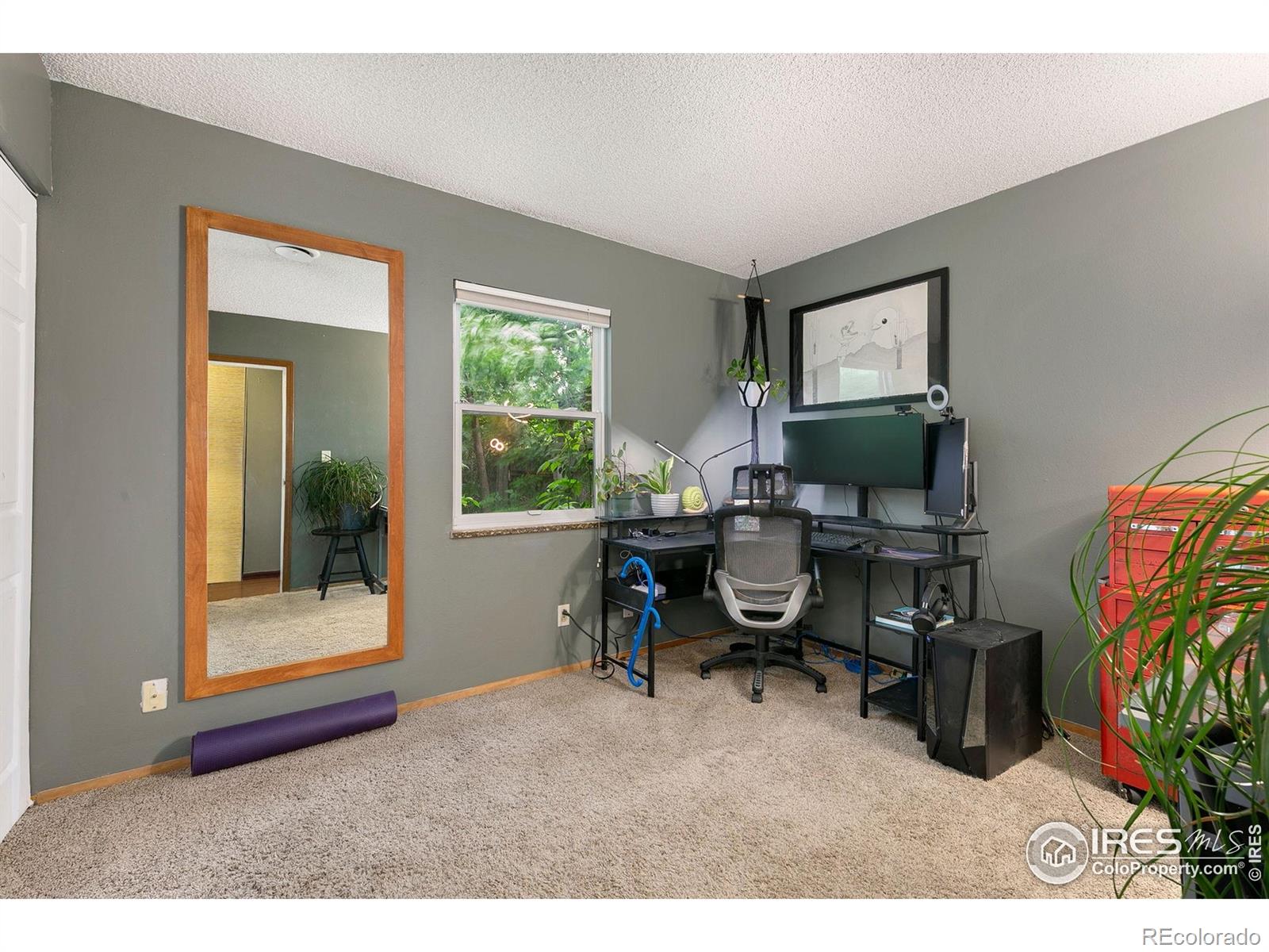 MLS Image #13 for 2909 w olive street,fort collins, Colorado