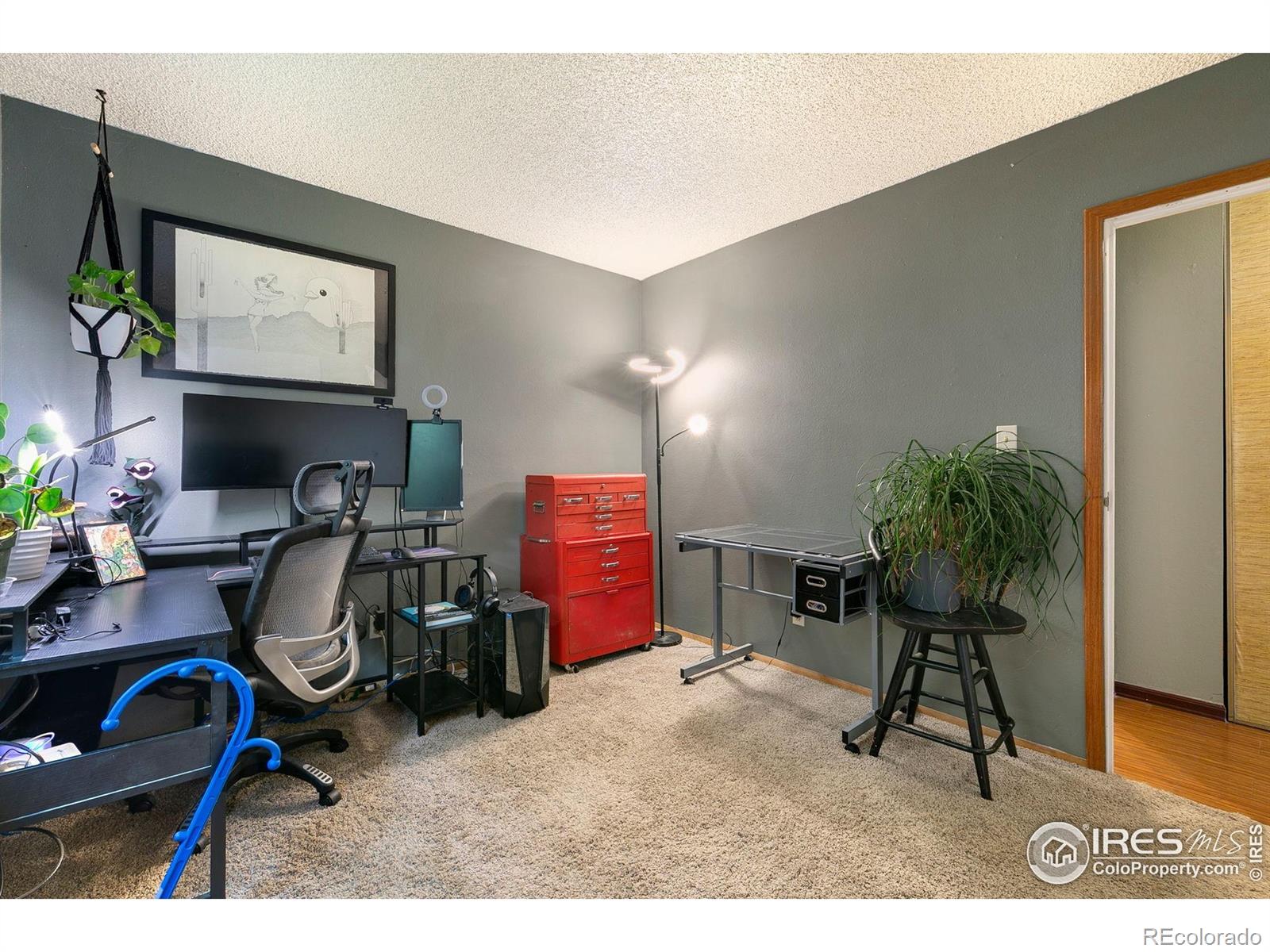 MLS Image #14 for 2909 w olive street,fort collins, Colorado