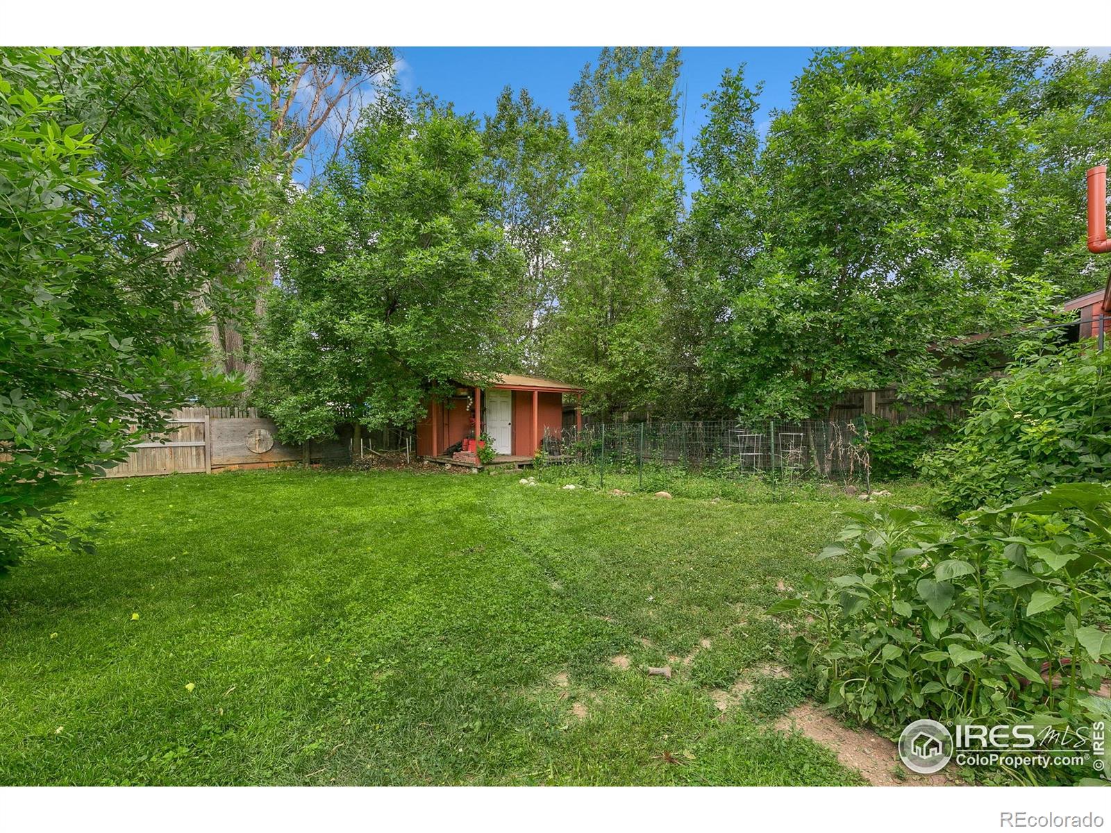 MLS Image #19 for 2909 w olive street,fort collins, Colorado