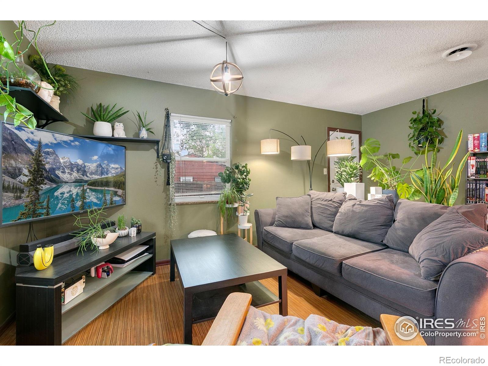 MLS Image #4 for 2909 w olive street,fort collins, Colorado