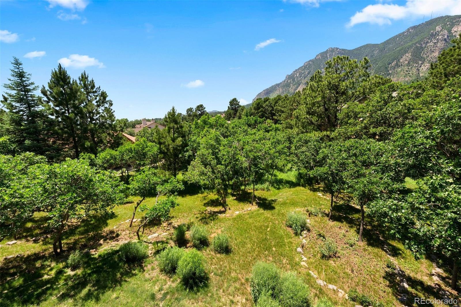 MLS Image #27 for 5120  langdale way,colorado springs, Colorado