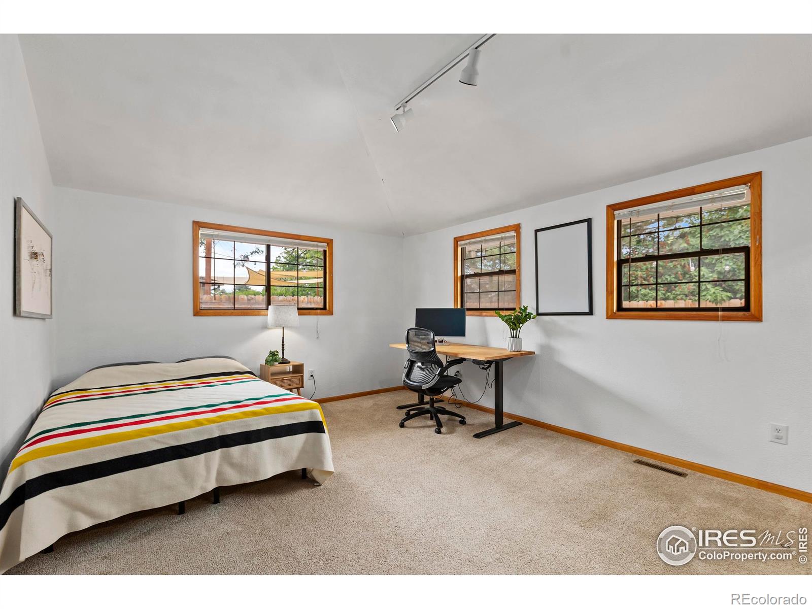MLS Image #19 for 2306  ptelea court,loveland, Colorado