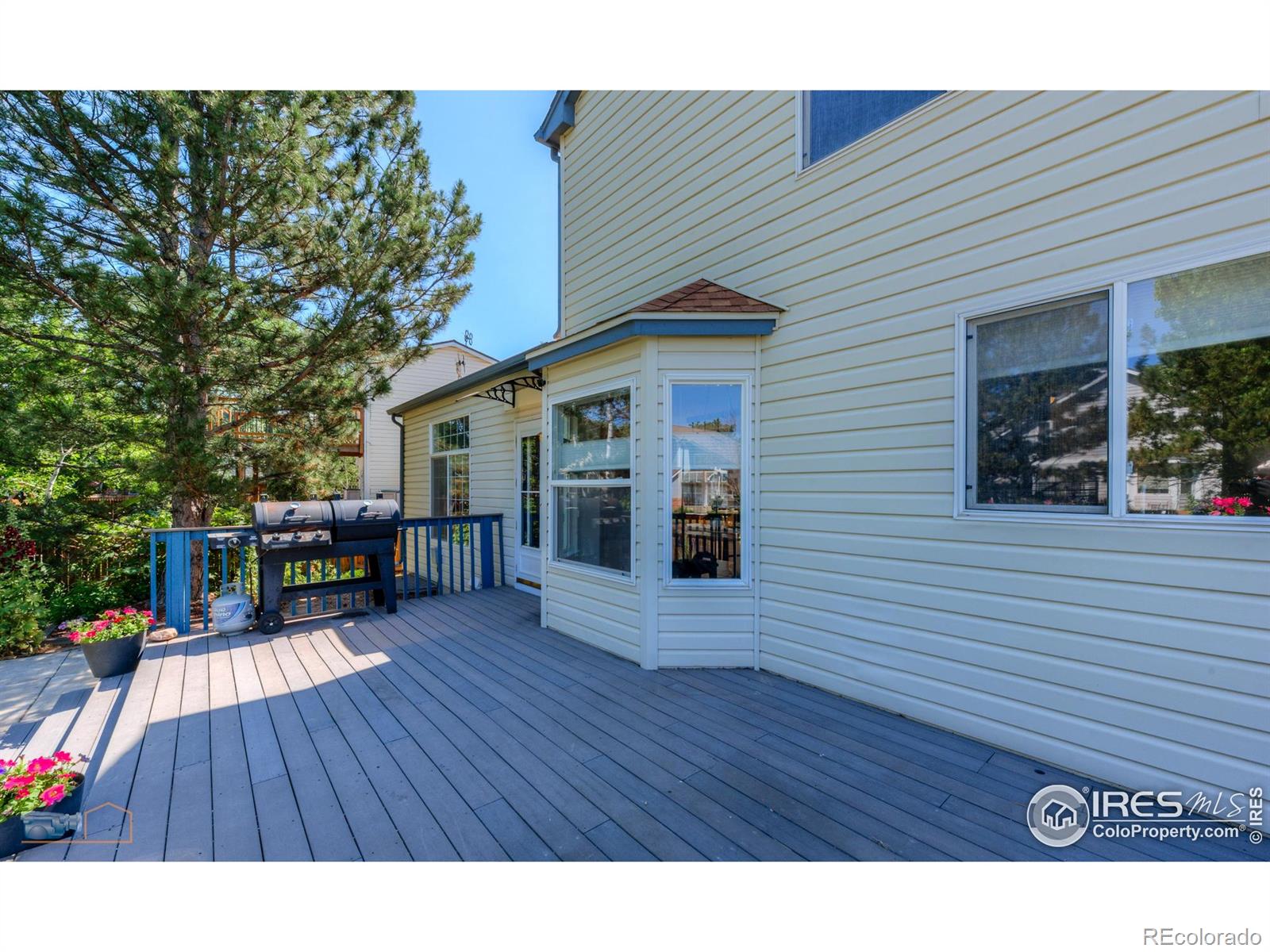 MLS Image #22 for 3598  larkspur drive,longmont, Colorado