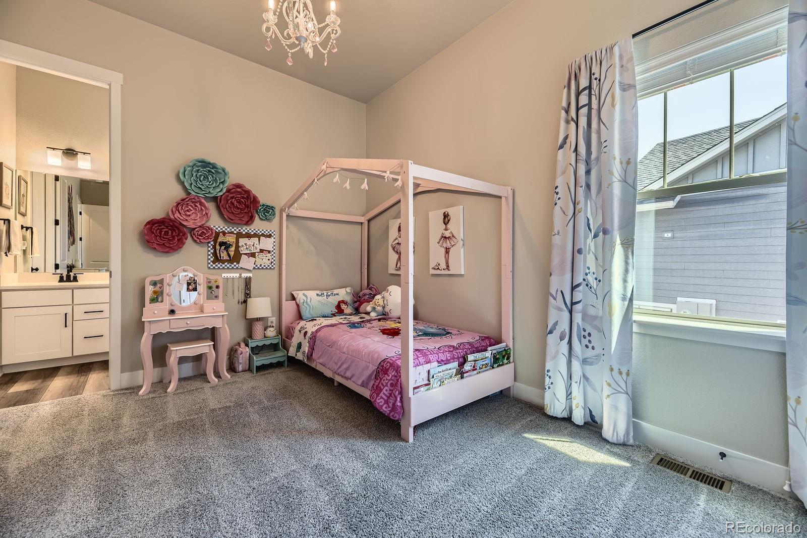 MLS Image #12 for 3344  carabiner street,castle rock, Colorado