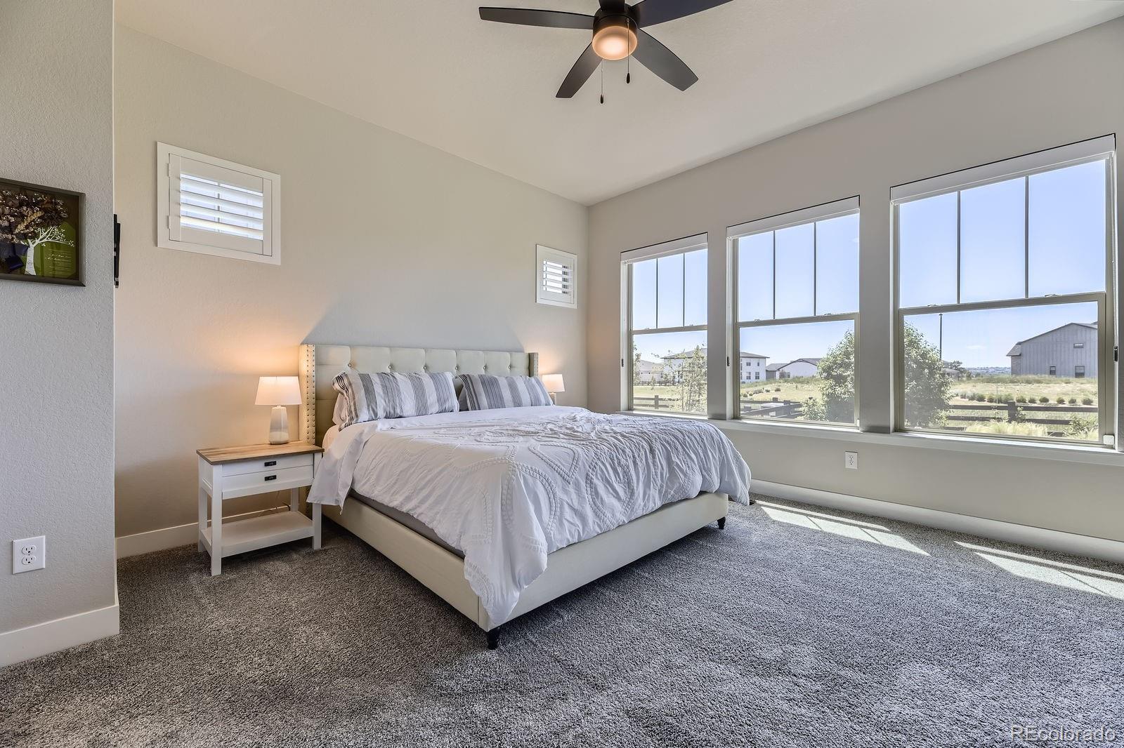 MLS Image #8 for 3344  carabiner street,castle rock, Colorado